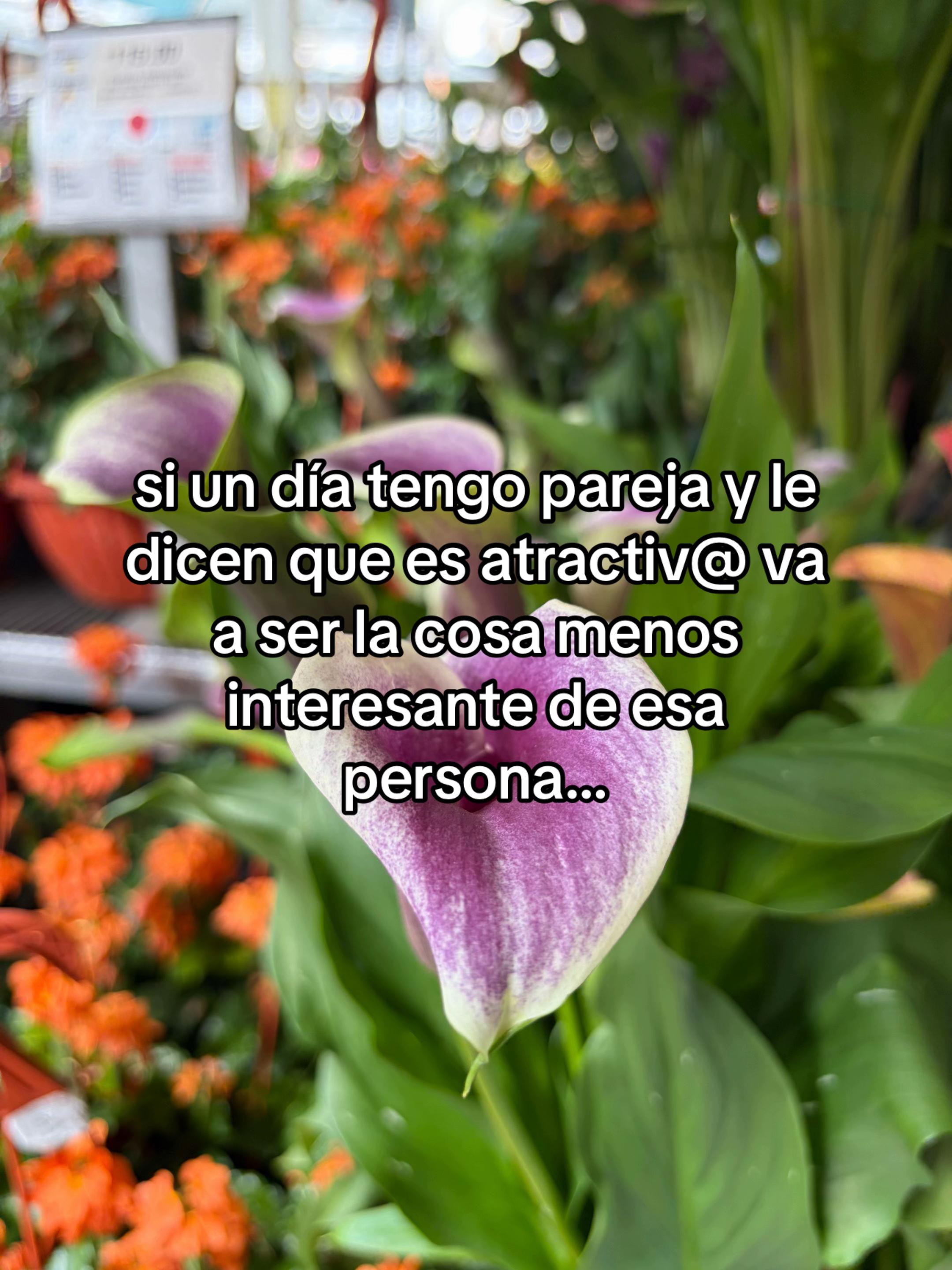 @Coraline Veilmont