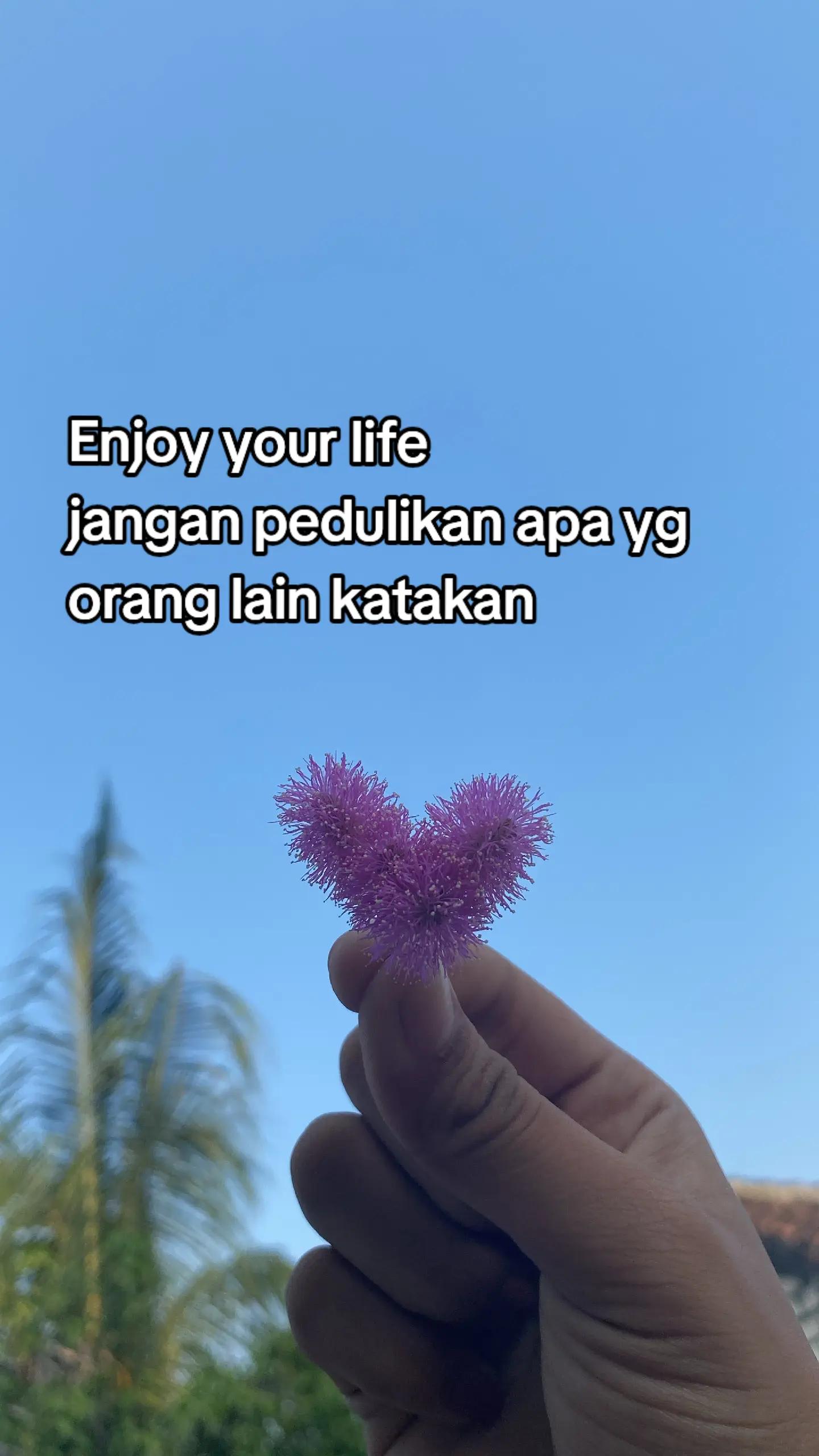 @meong🐾