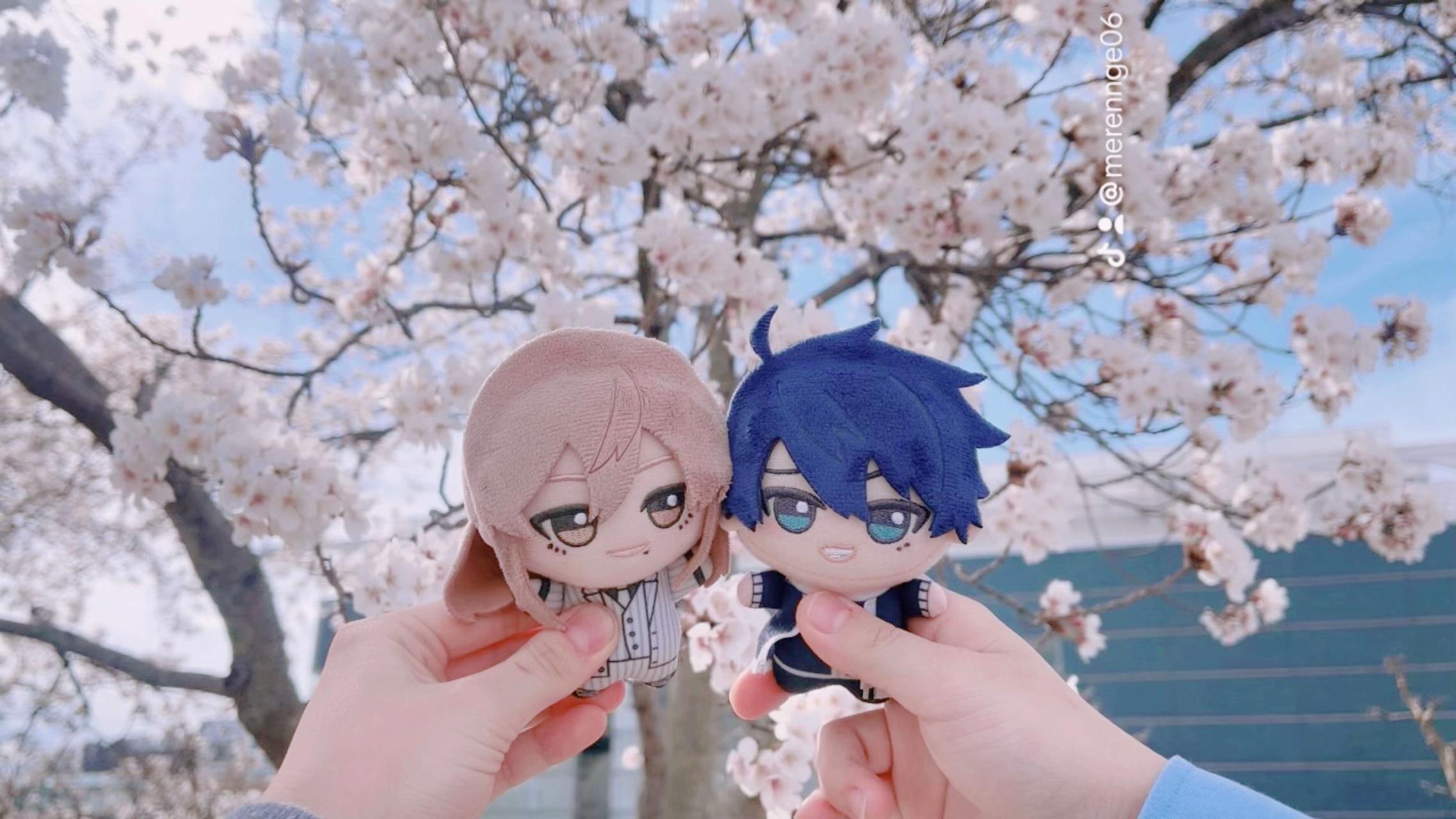 @芽蓮華【めれんげ】