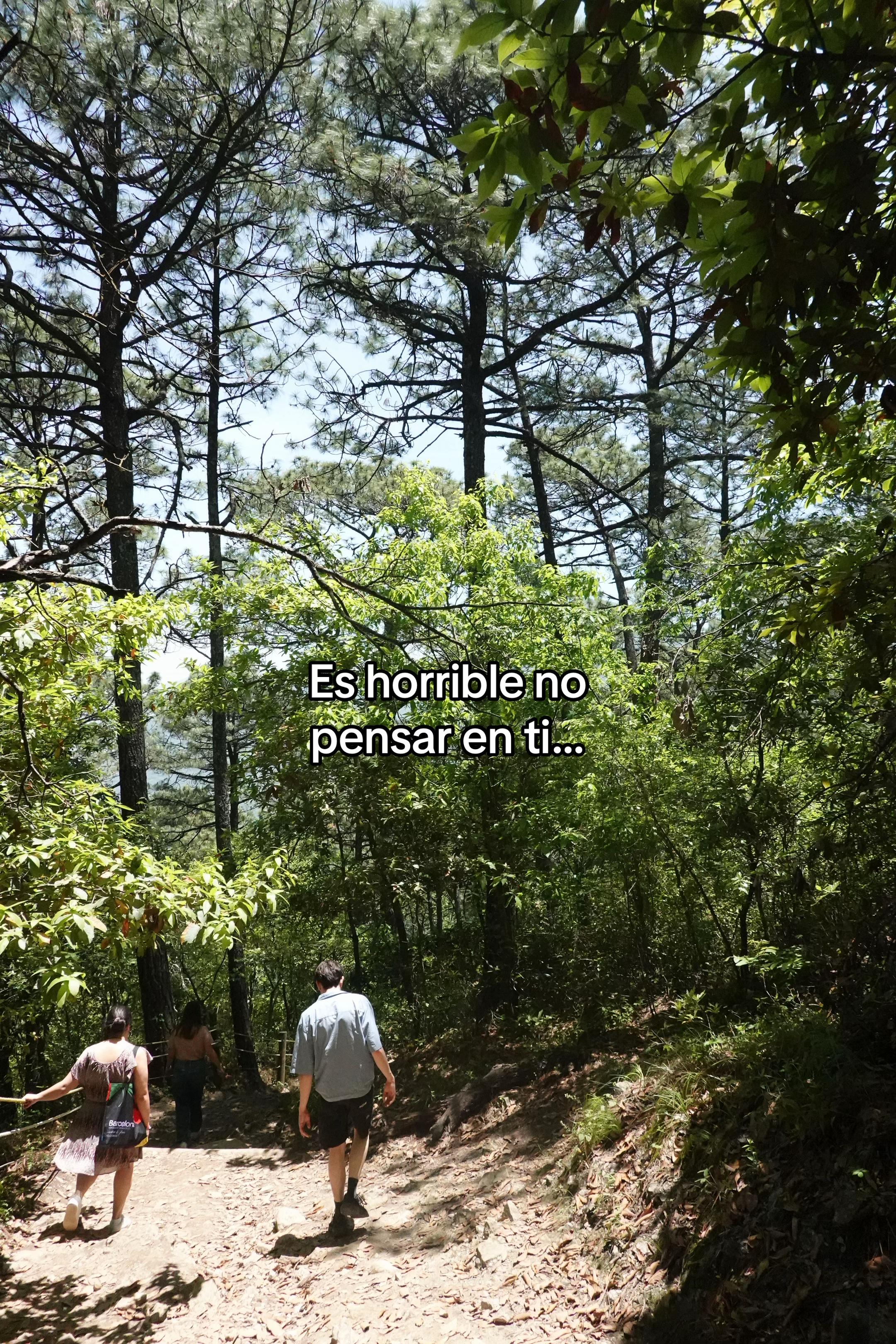 @Amelie Rivero