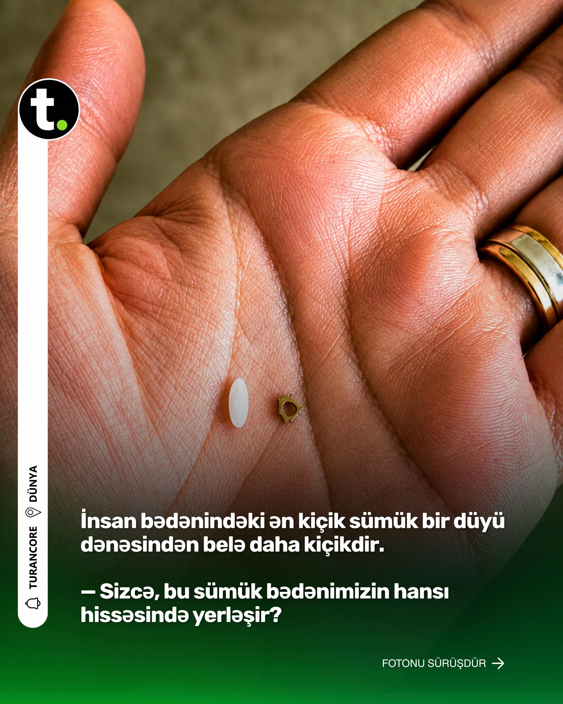 @Turancore