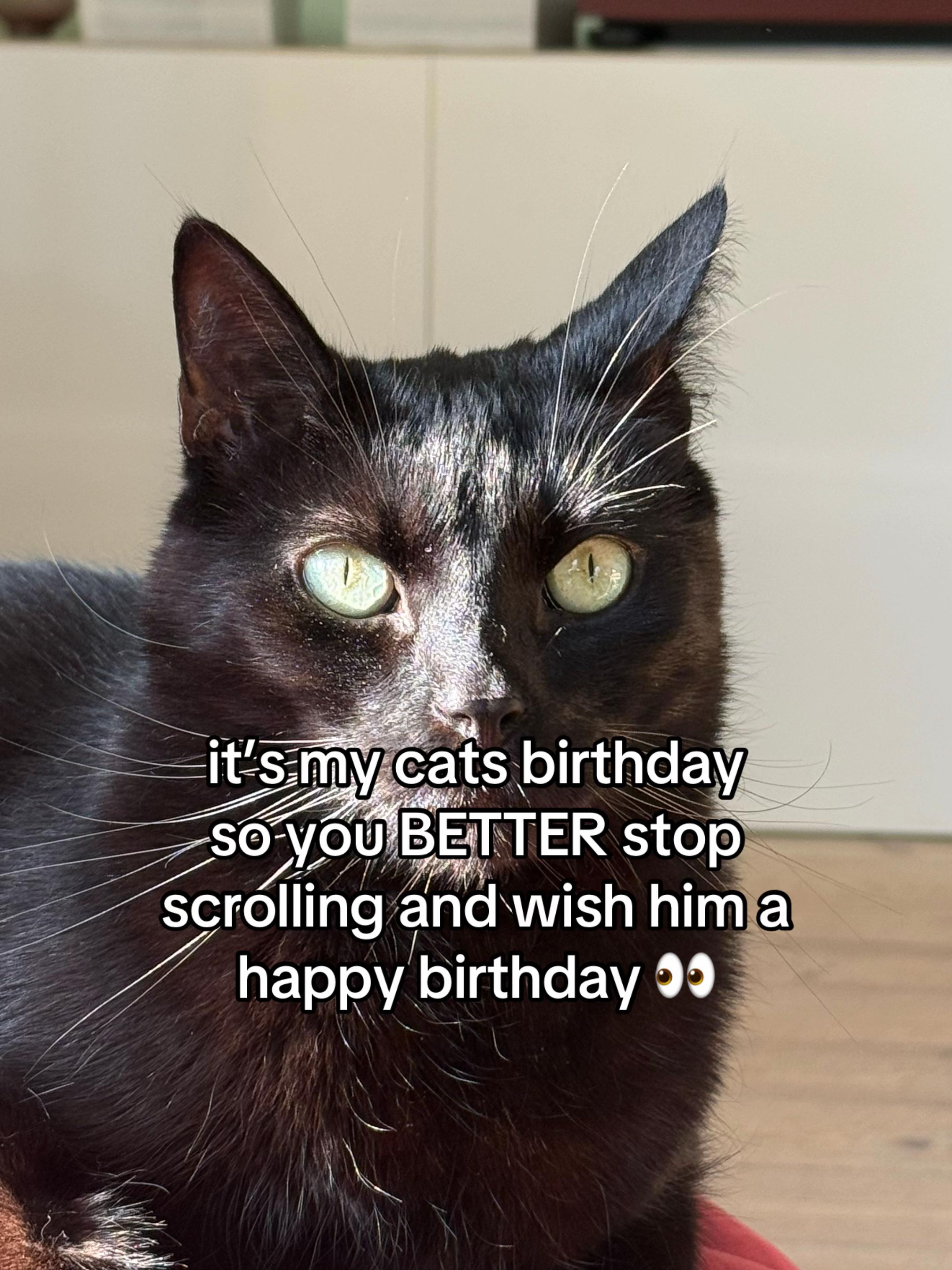 @Bissen the burnt loaf