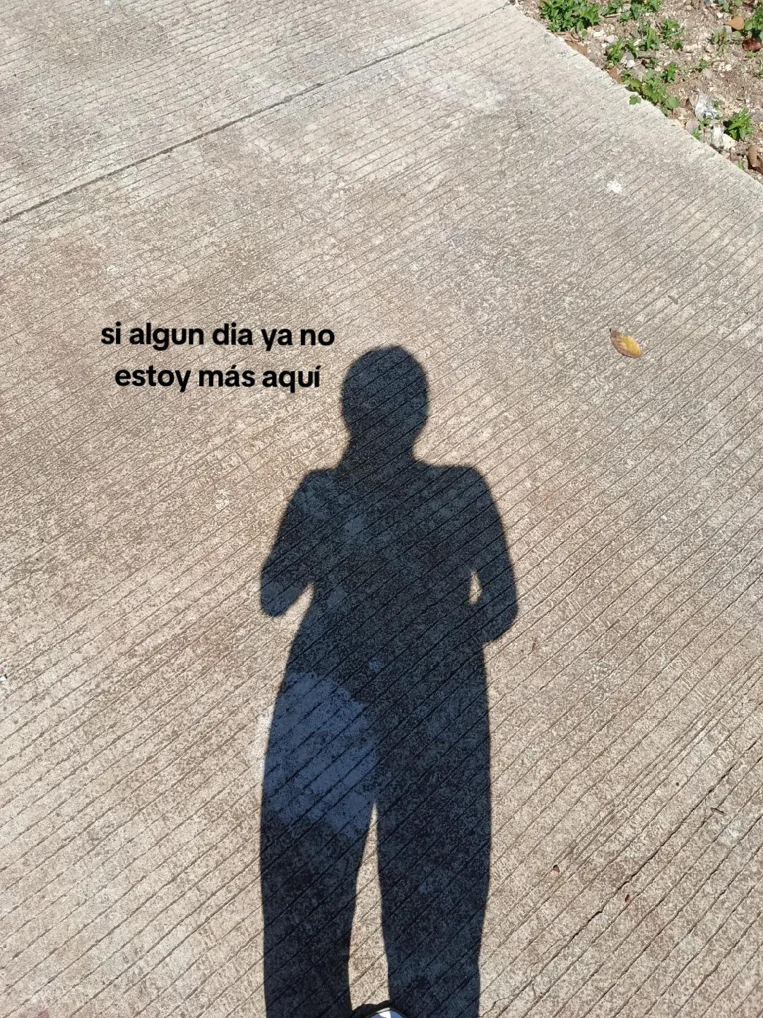 @lym