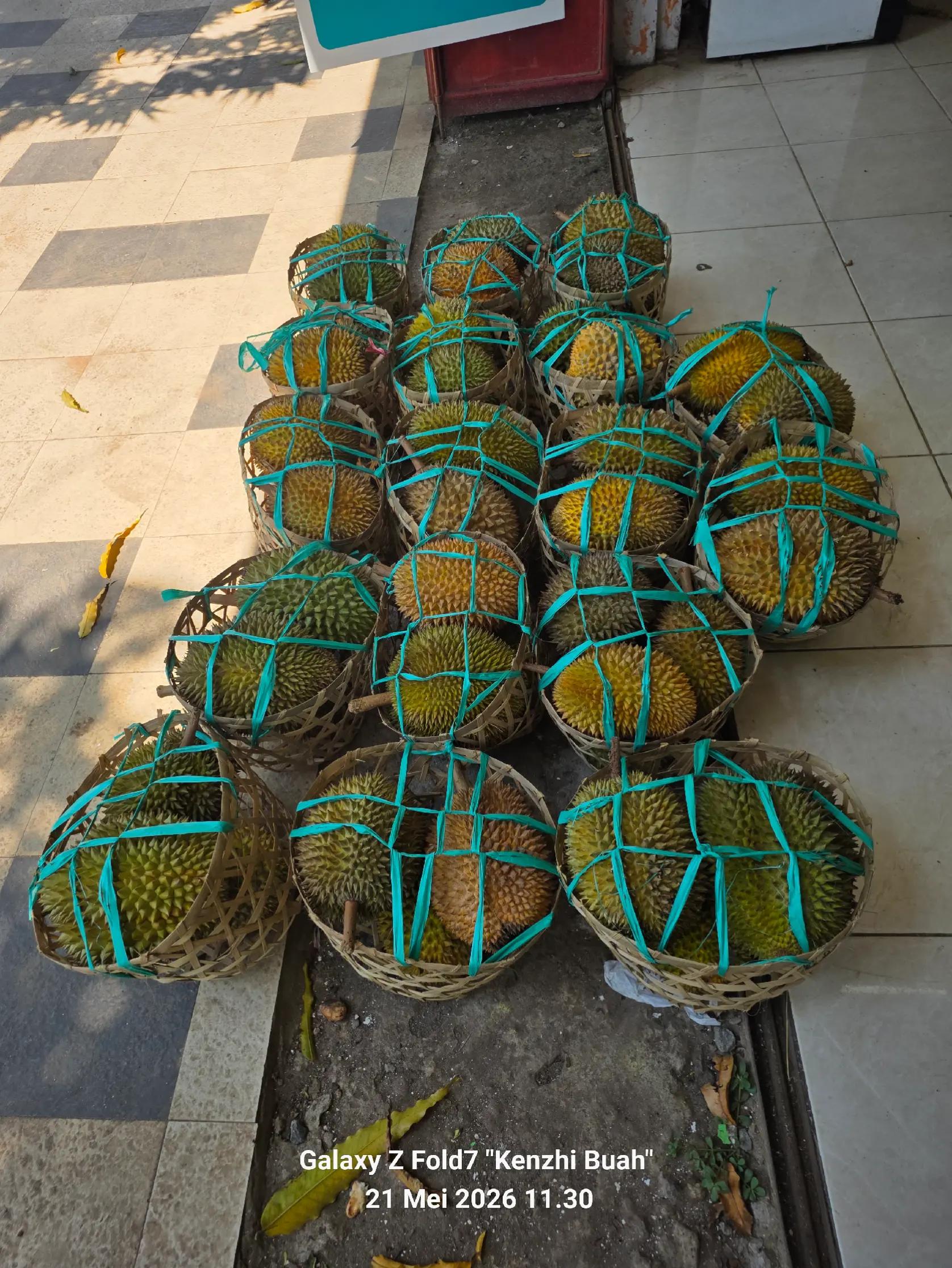 @Kenzhi Durian Tuban