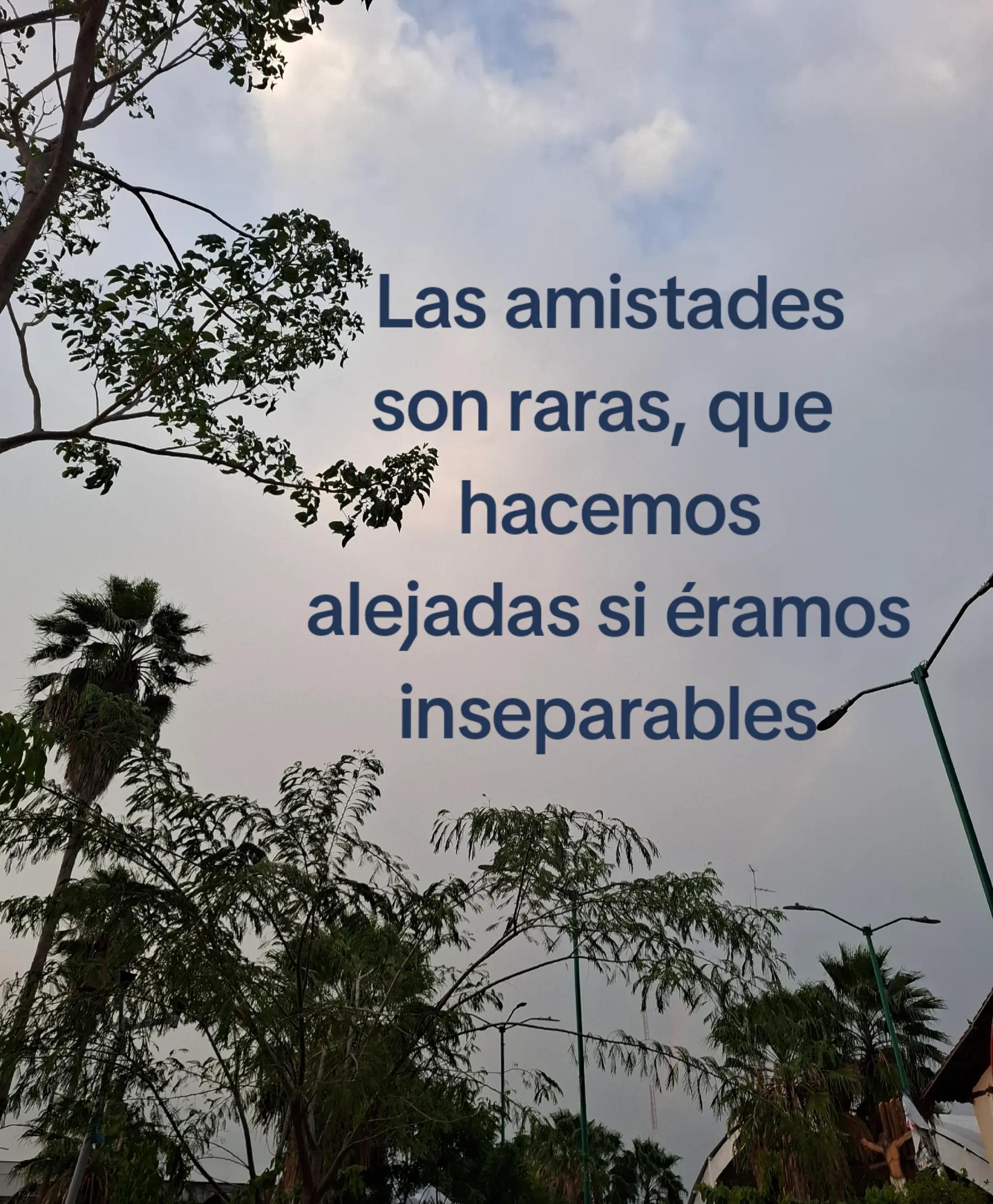 @🦋🐛Mare VB🦋🐛