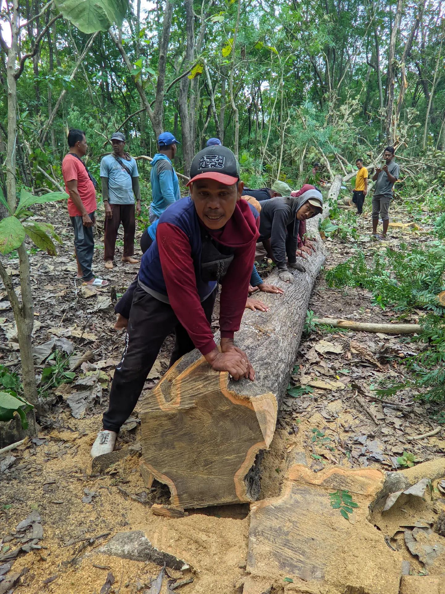 @rosok kayu