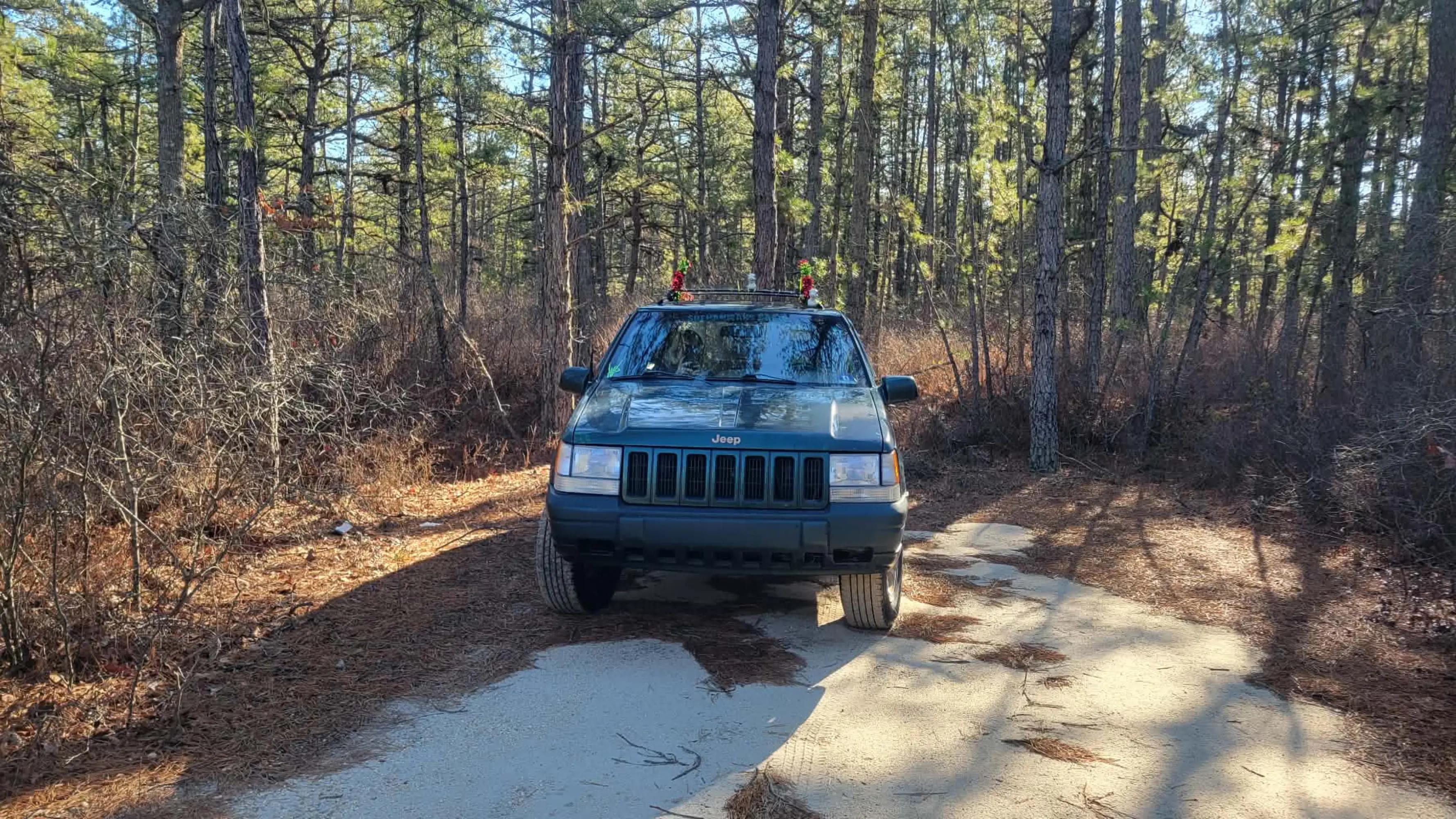 @☠️SOUTH ♥️ JERSEY🤍Jeeper💙