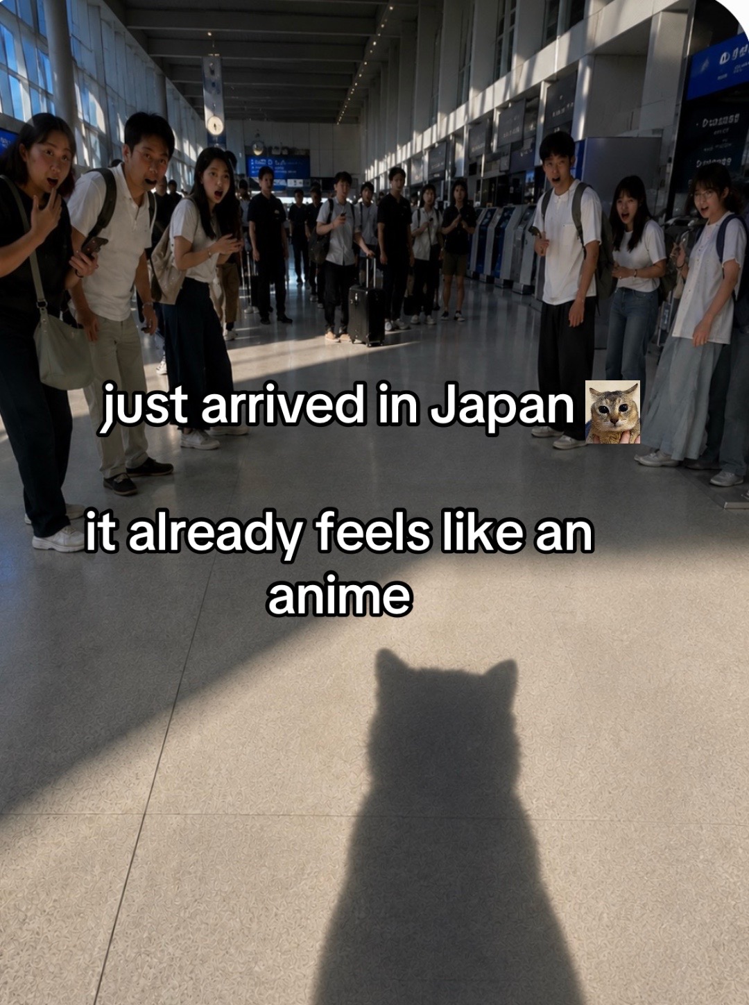 @James 🇰🇷🇮🇪