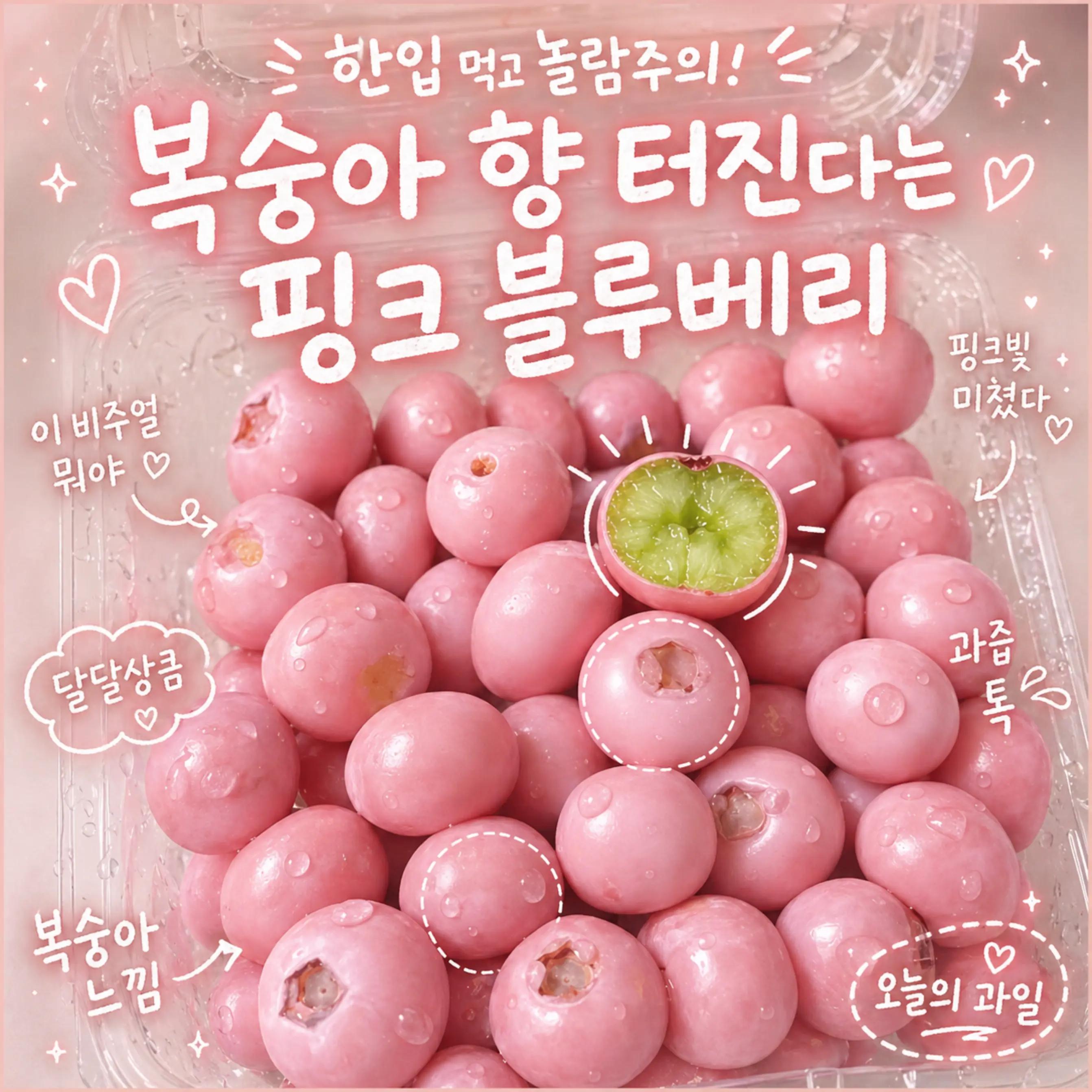 @집만지