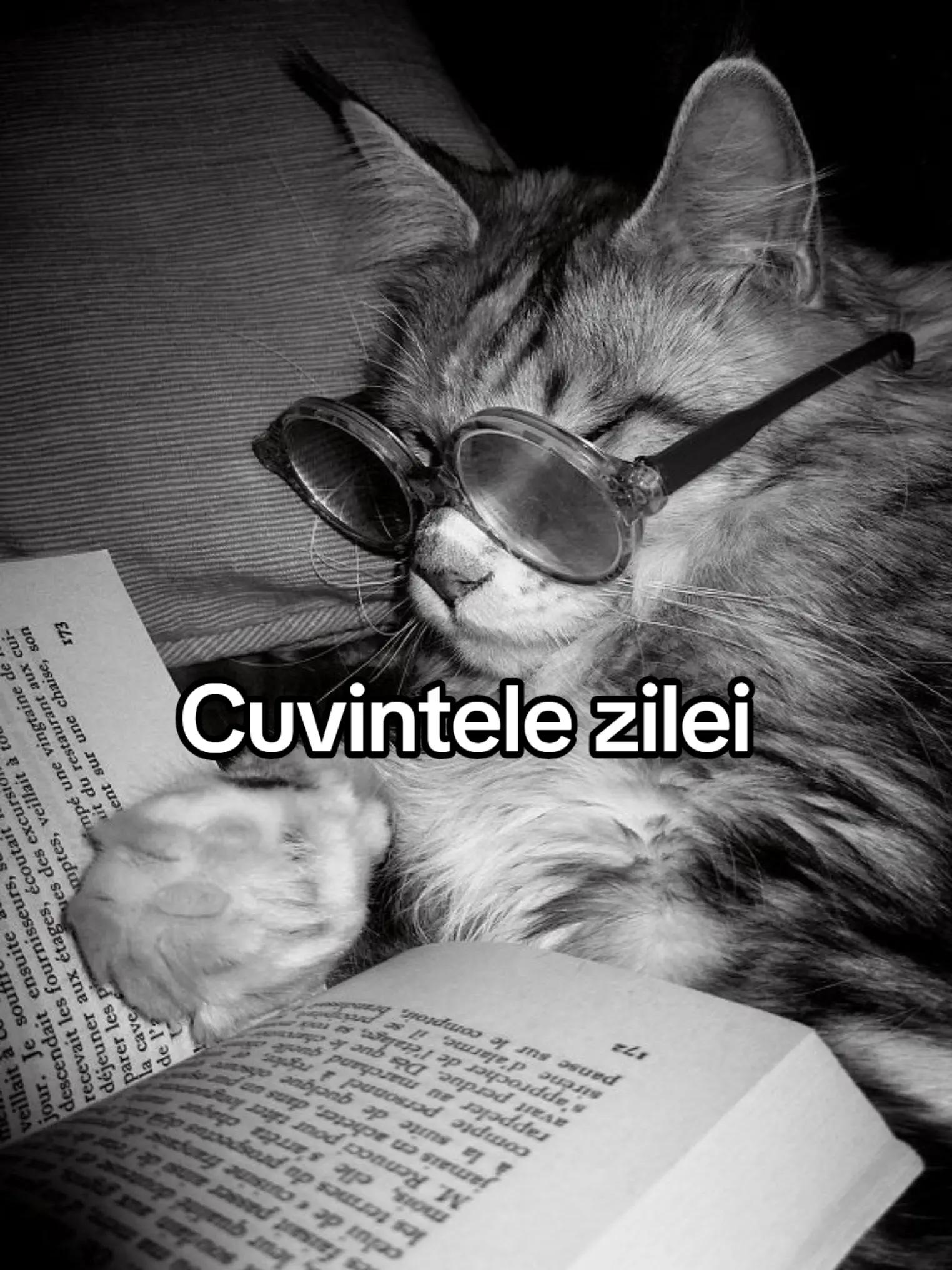 @scris.pe.alb📚