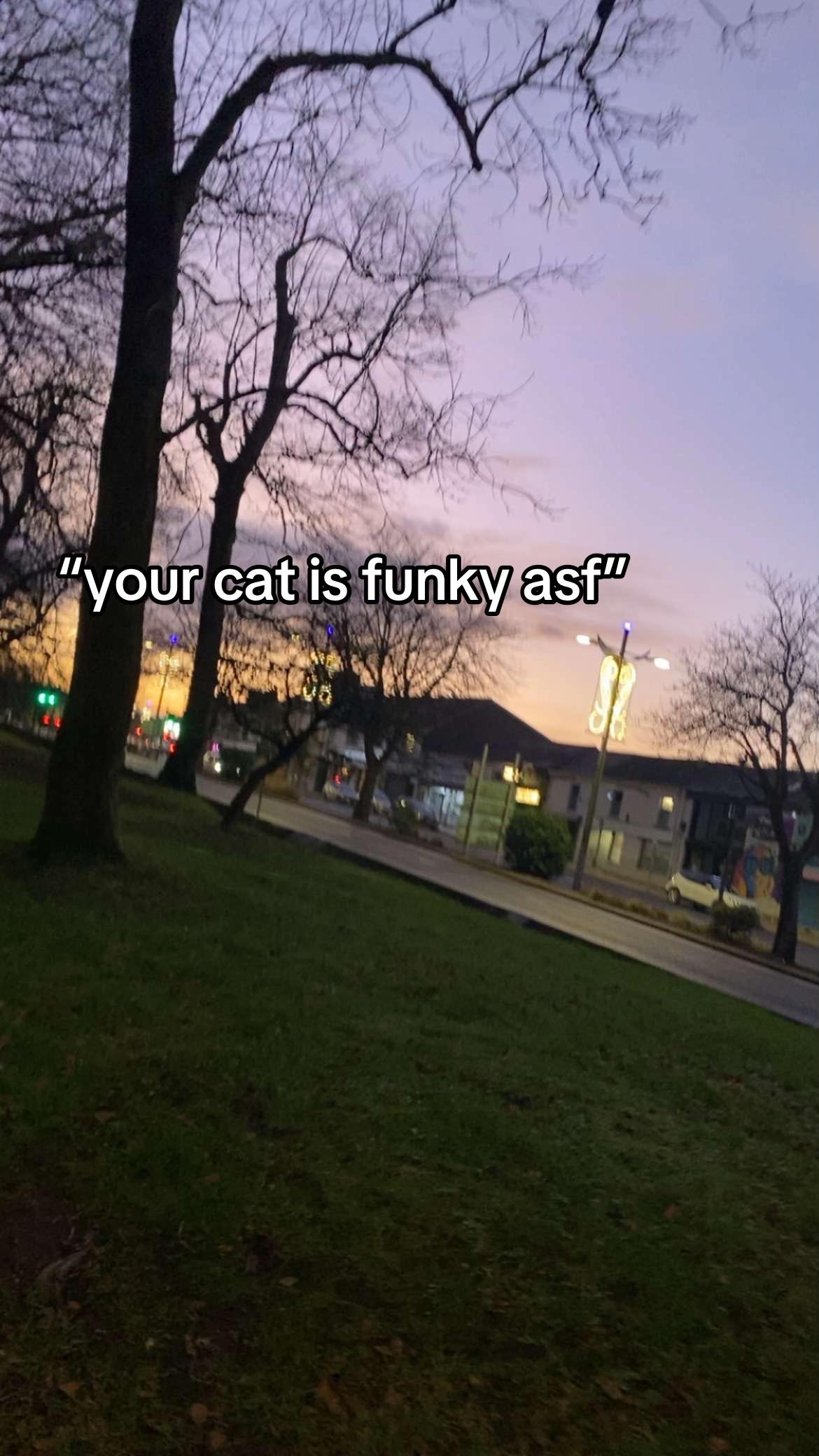 @mazie ✪ · fart