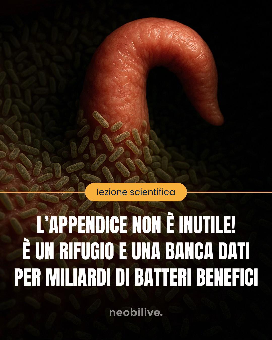 @Neobilive Probiotici 💩