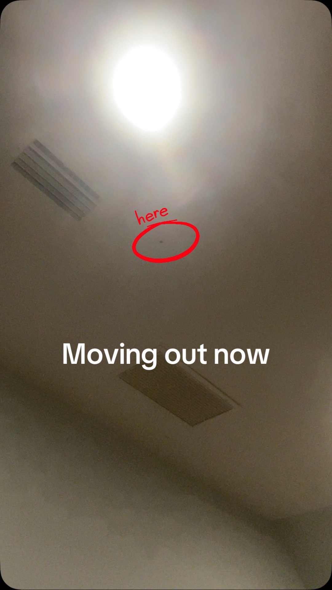 @Lachlan🥭🪻🫛🏴&zwj;☠️🪢