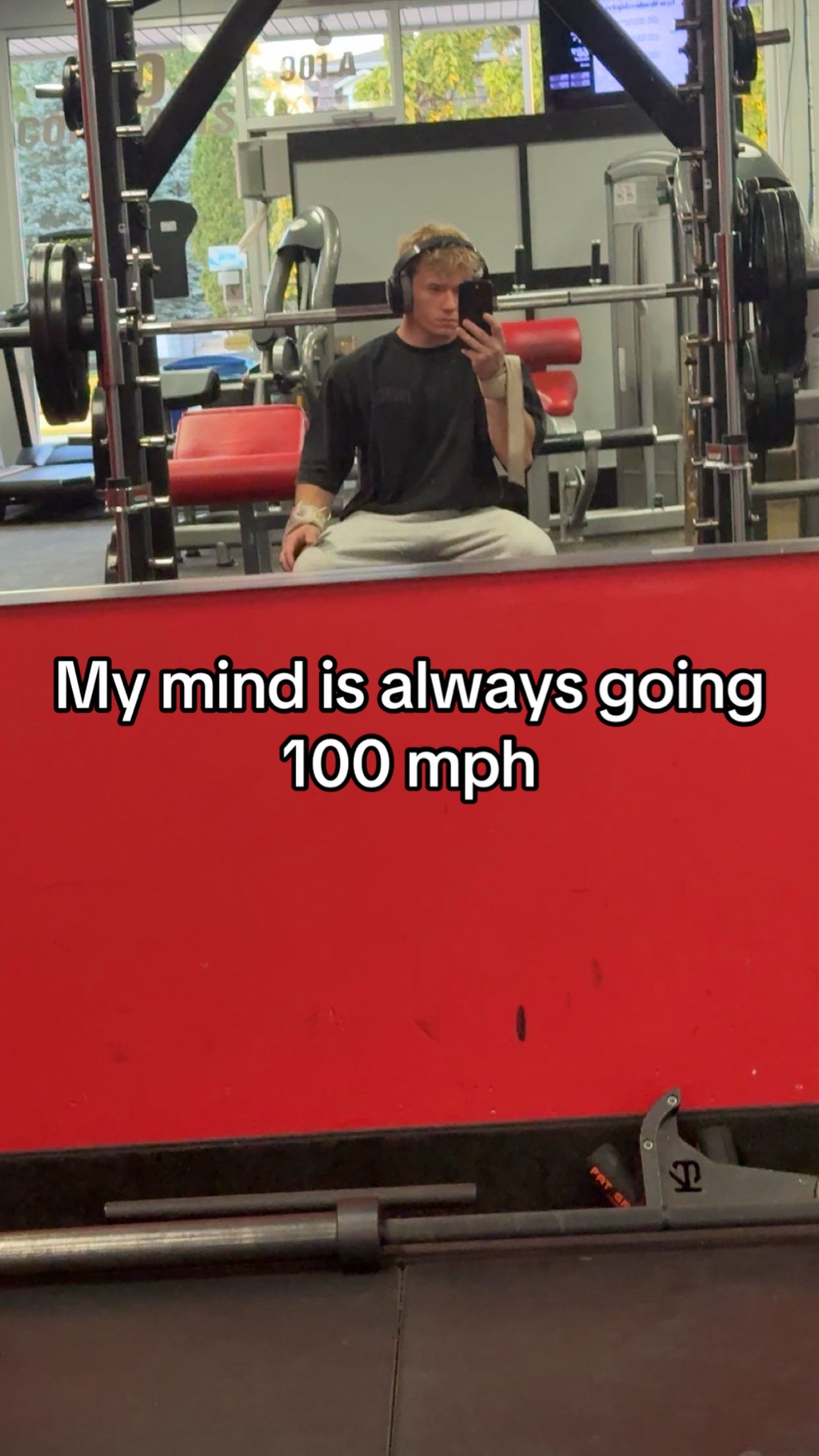 @Smallguygavin 🧬