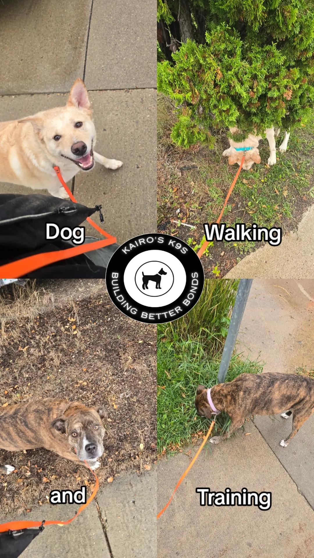 @Kairo's K9s Training 🇨🇦