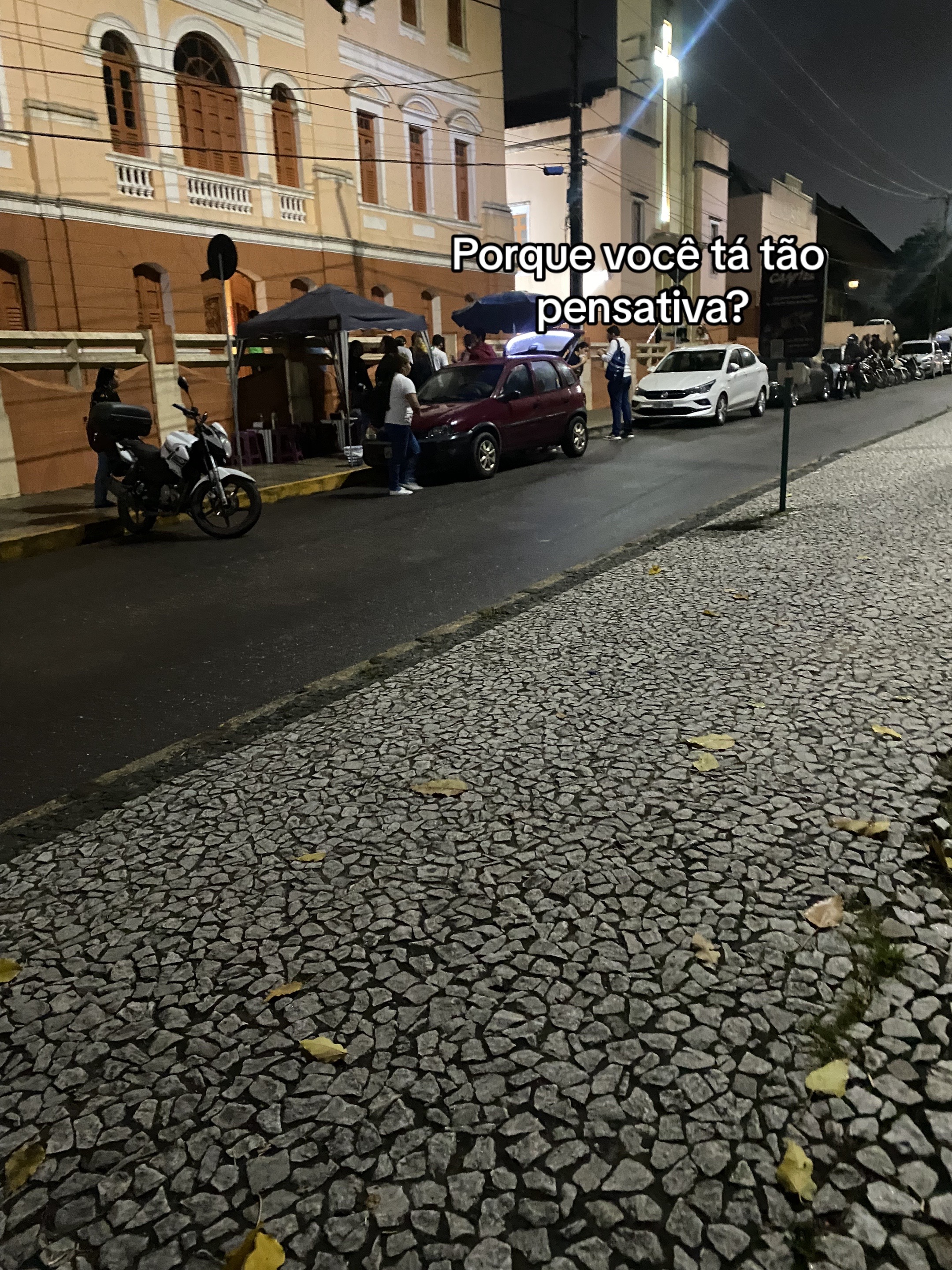 @lavinia gomes