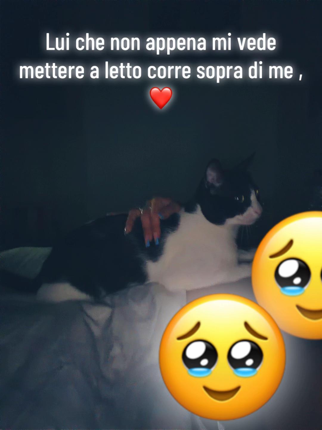 @❤️Vanessa Giuseppe ❤️