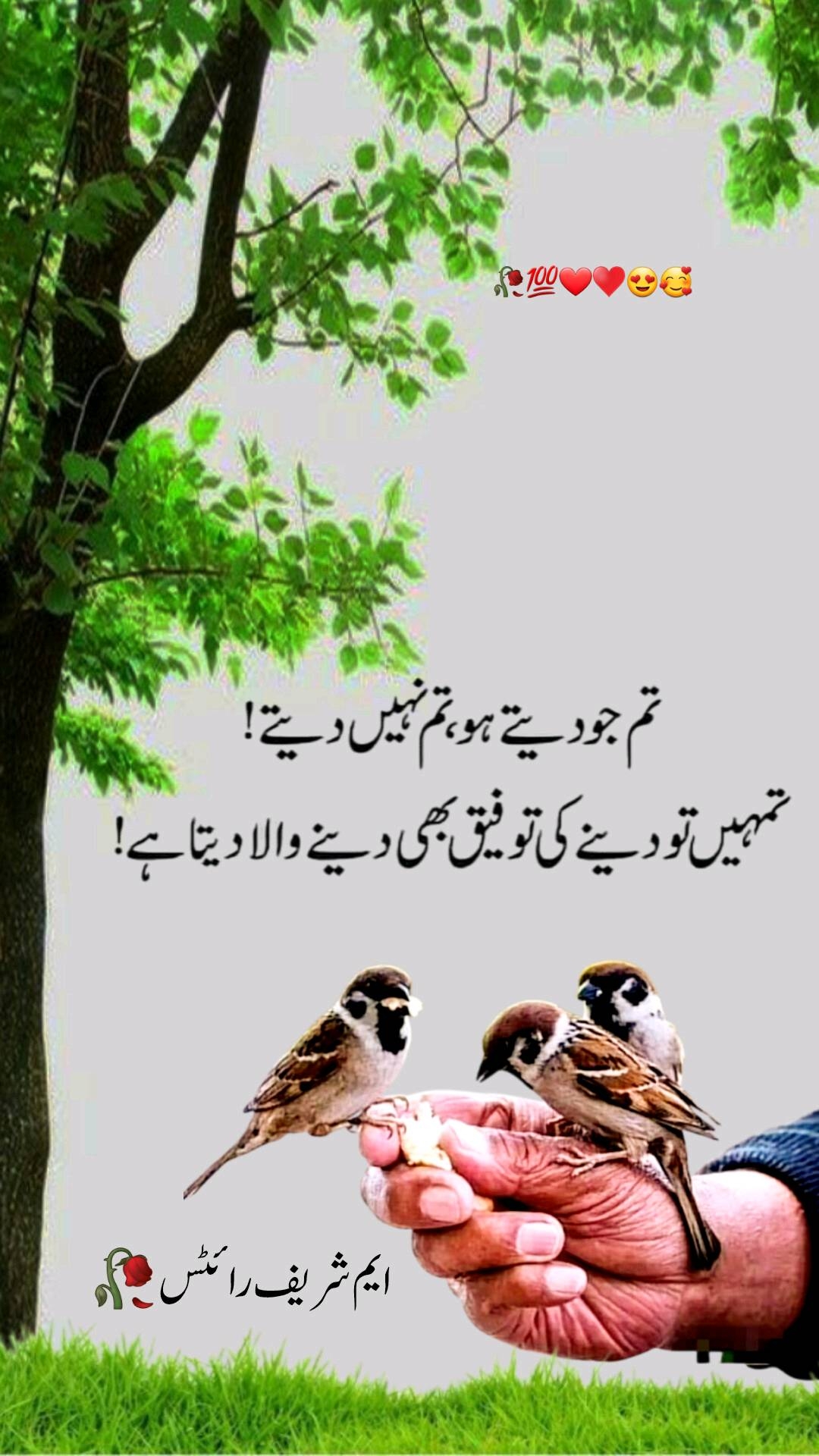@Muhammad Sharif