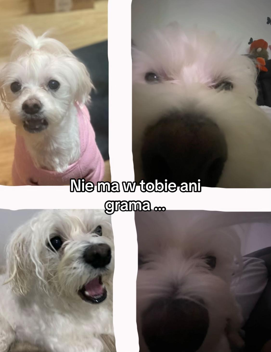 @โ๐ฉ๐๐๐๐๐&๐๐๐๐๐๐ชโ
