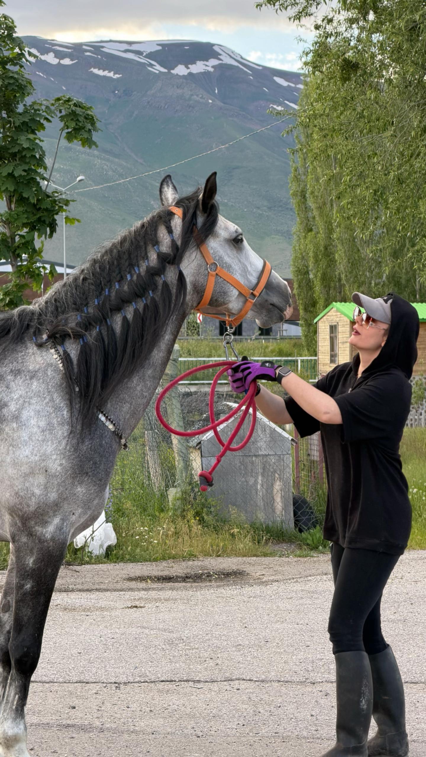 @HarzemŞah