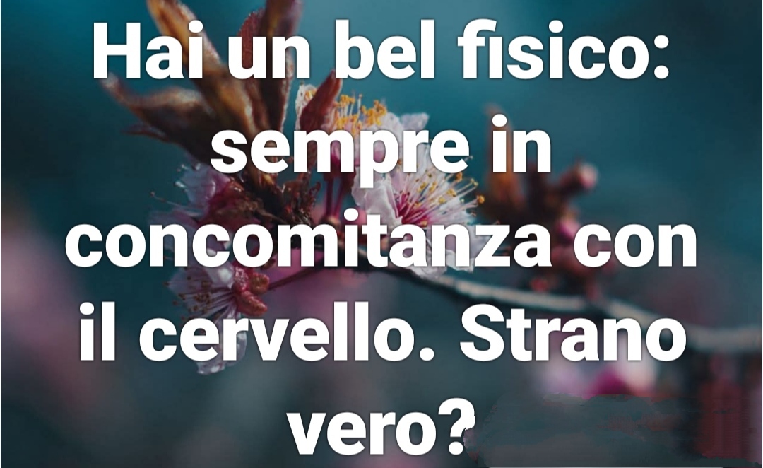 @. Sonia Piloni 67