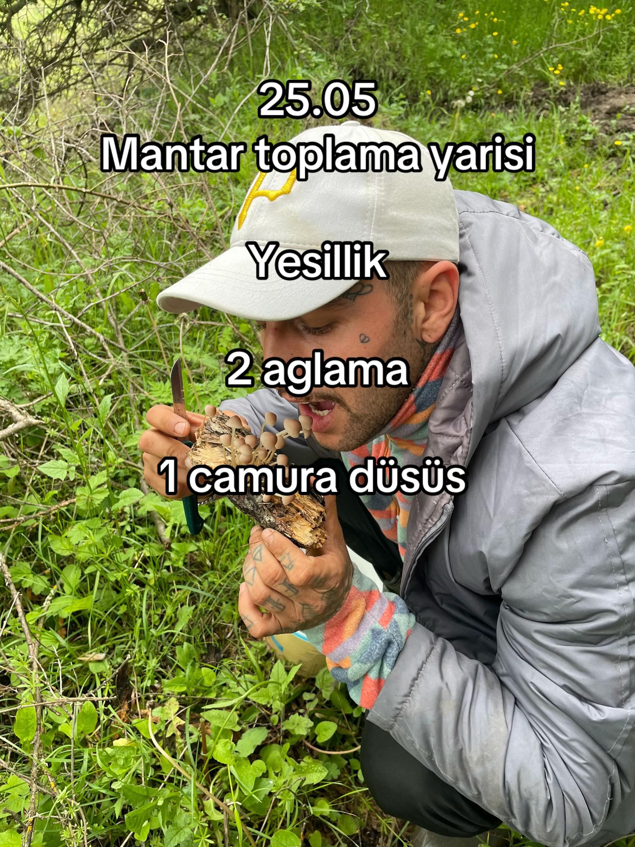 @Meltvibe