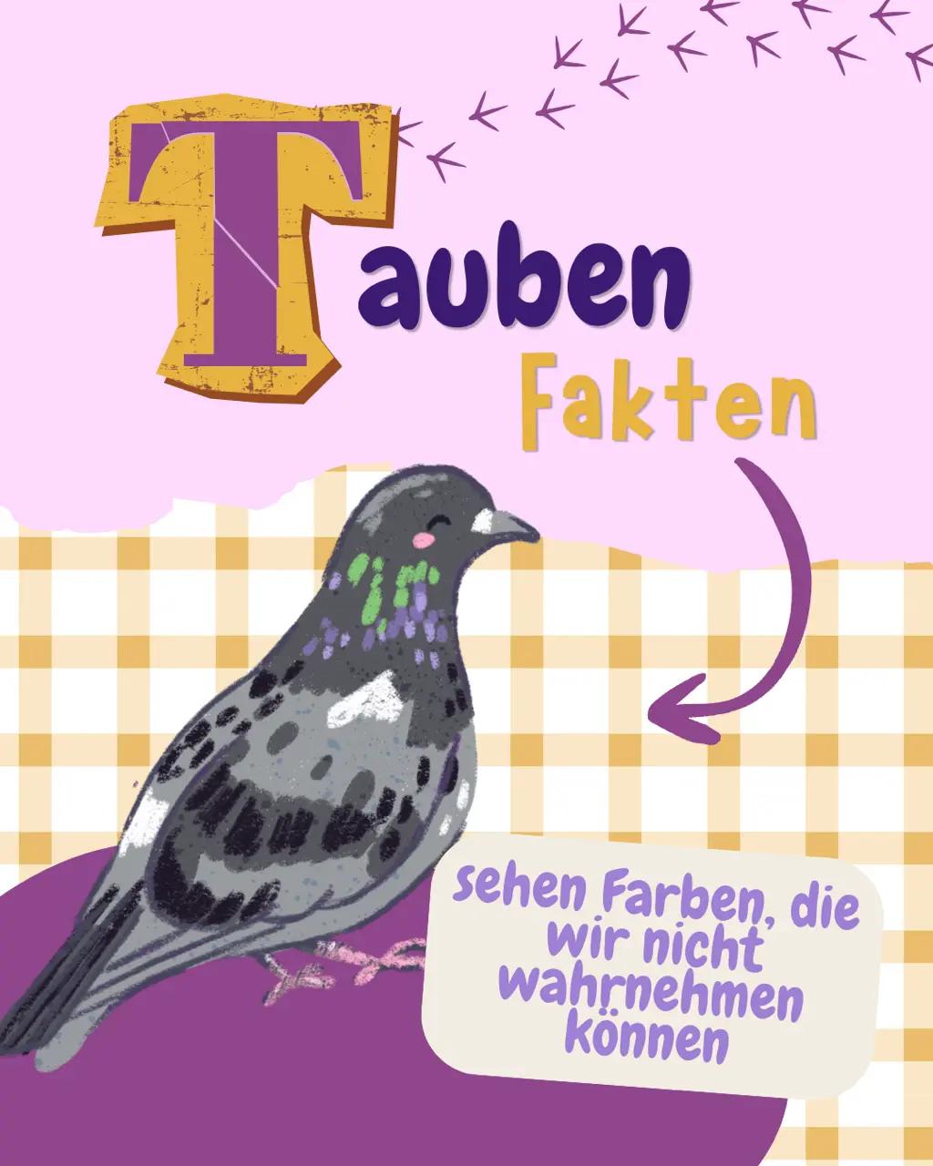 @sinasofie_kunstwerke