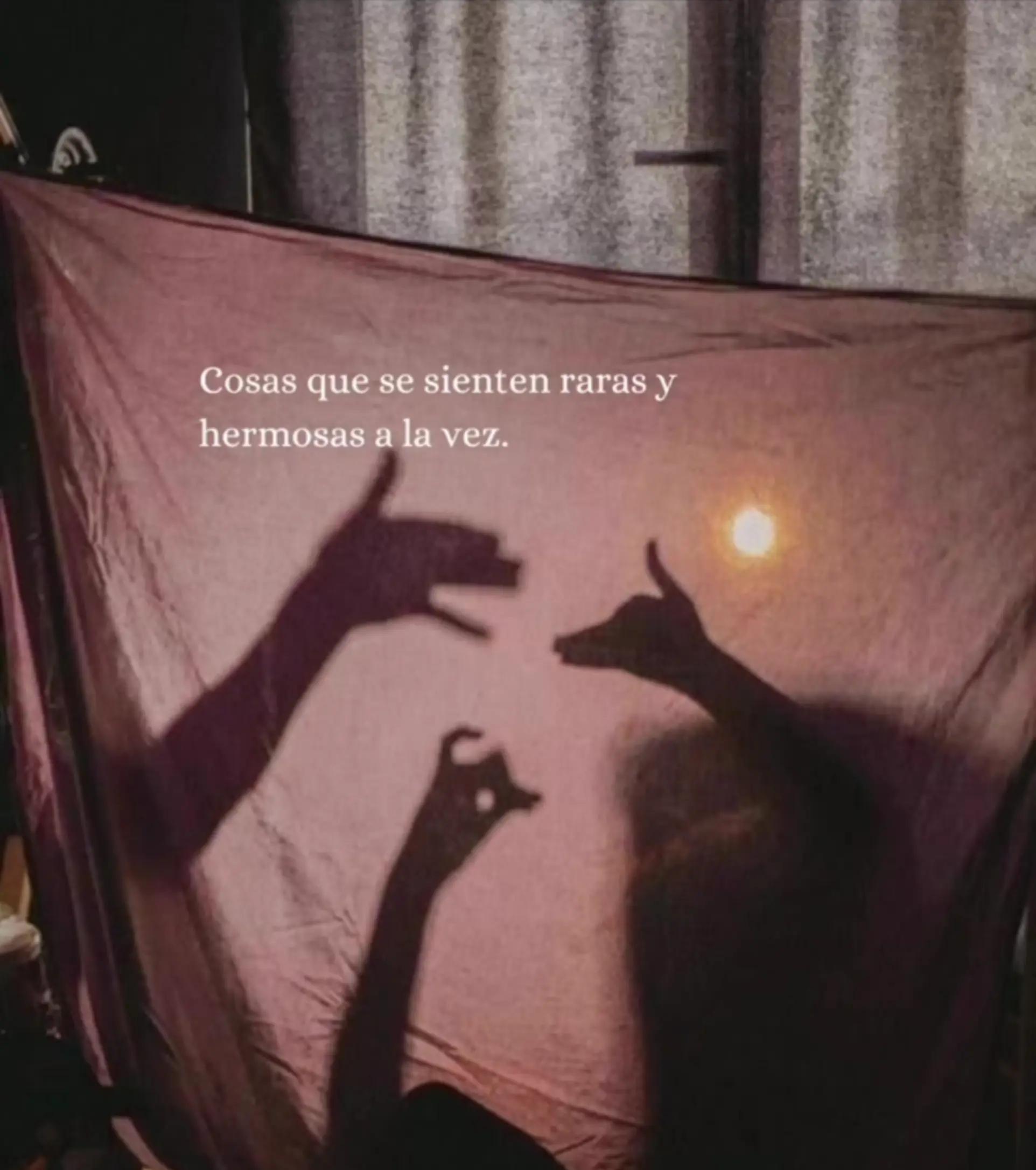 @jbv2771