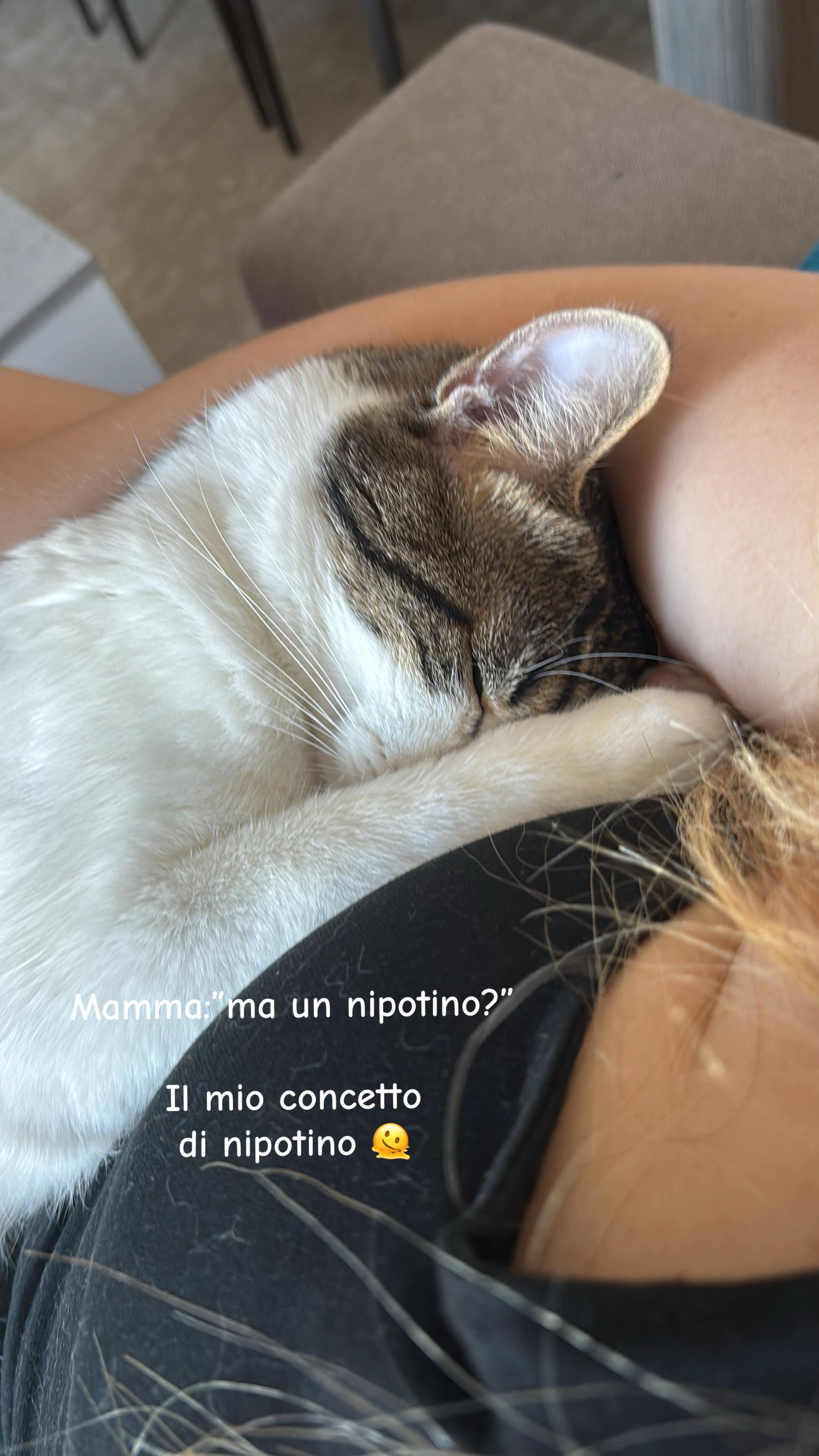 @giuliacascio28