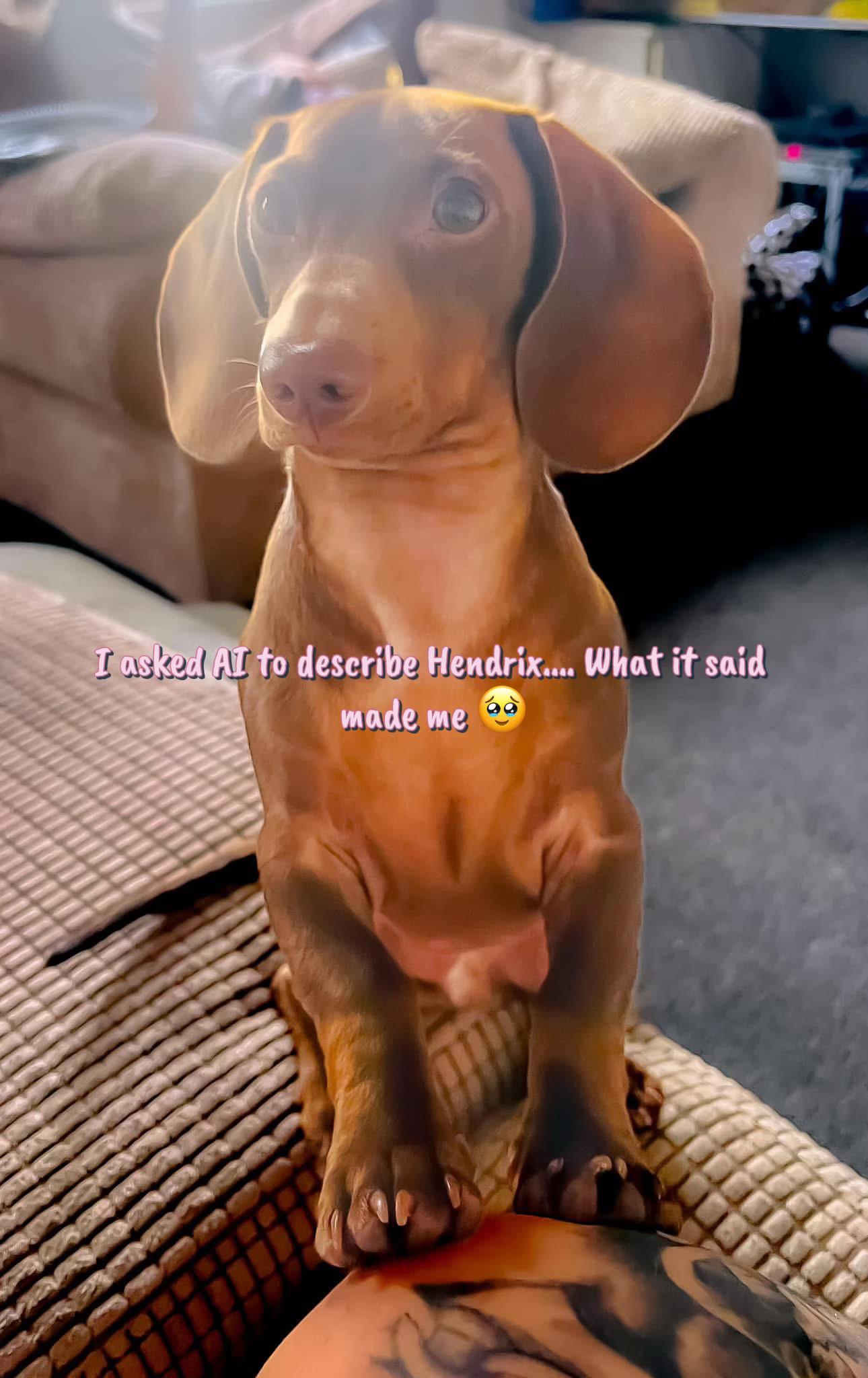 @TheHendrixReport
