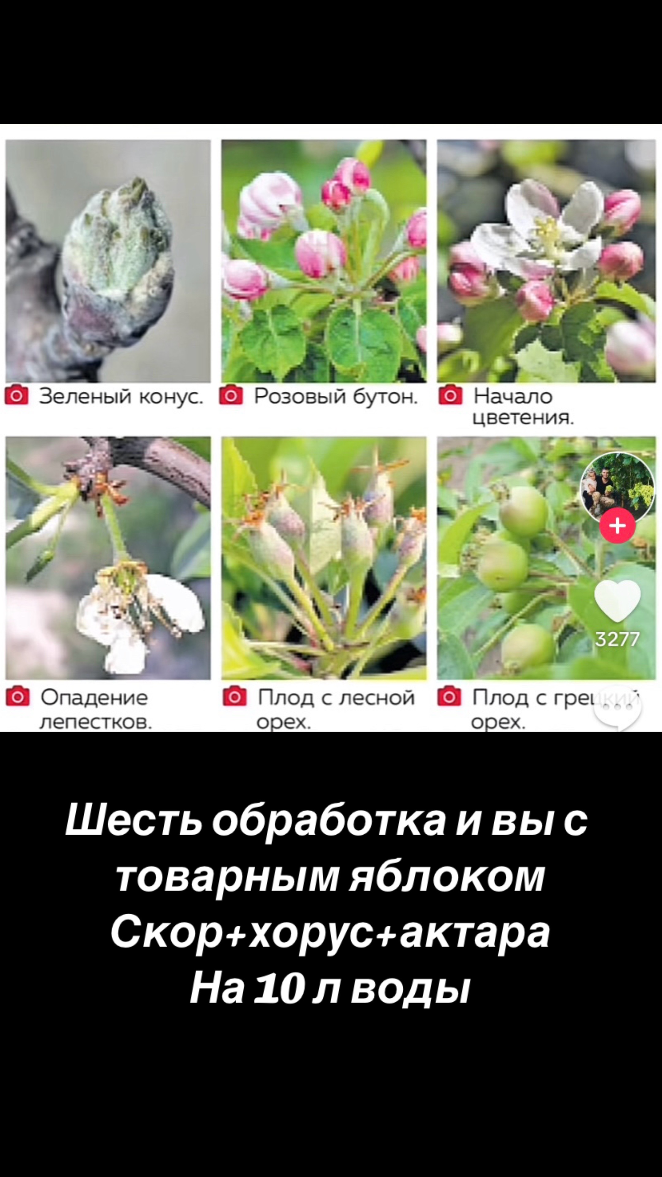@сад🍏🍒🍇