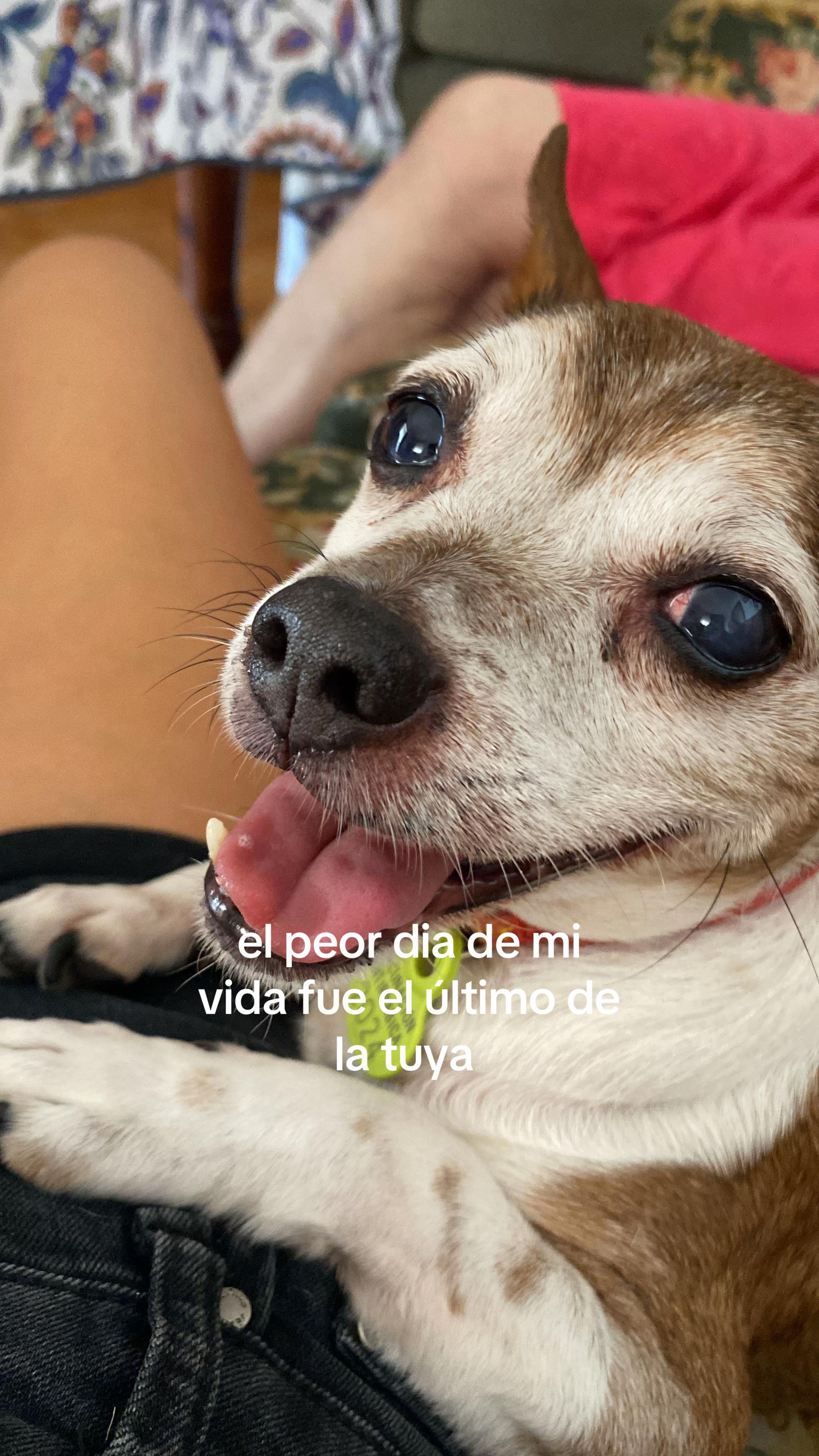 @María