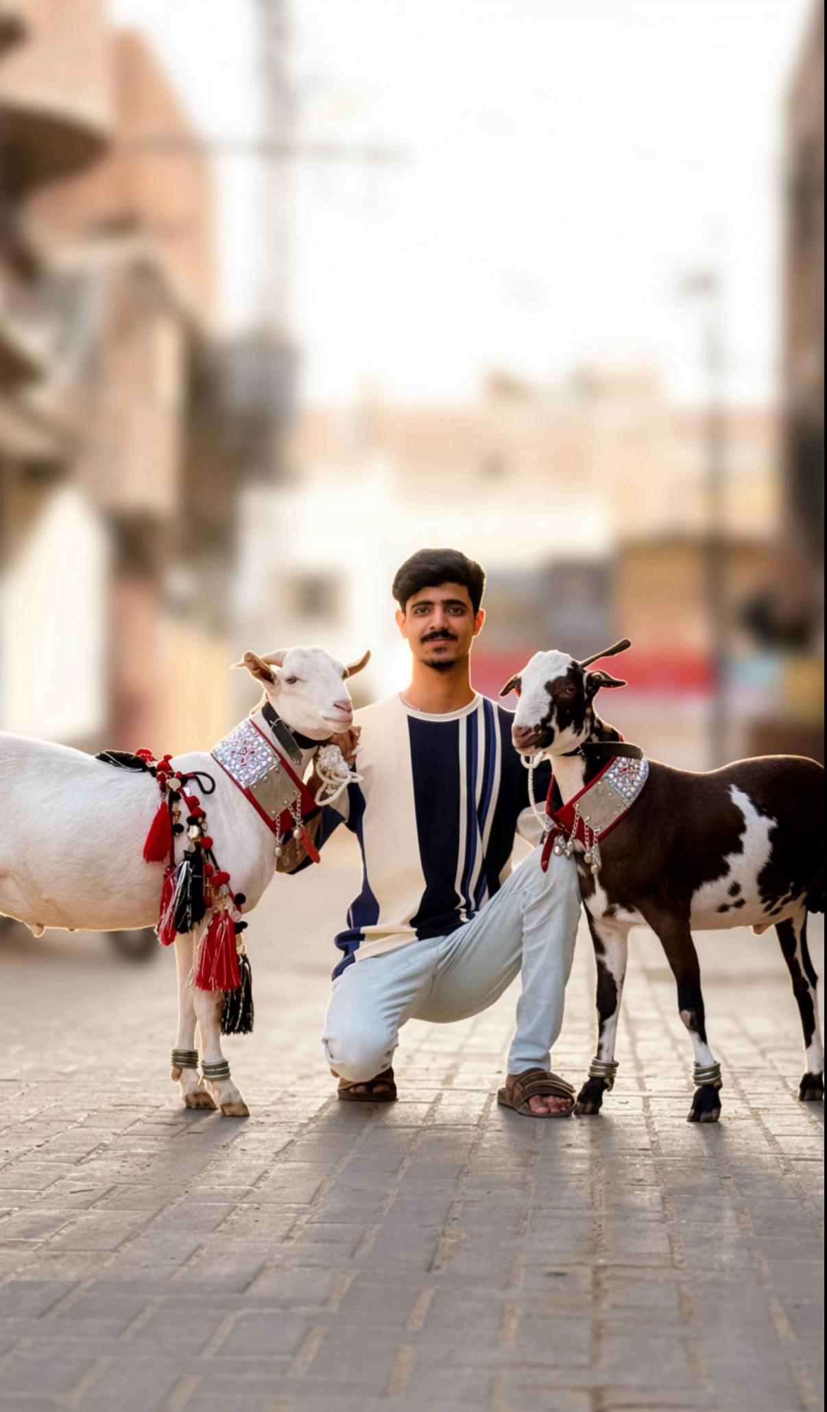 @Ahmed raza