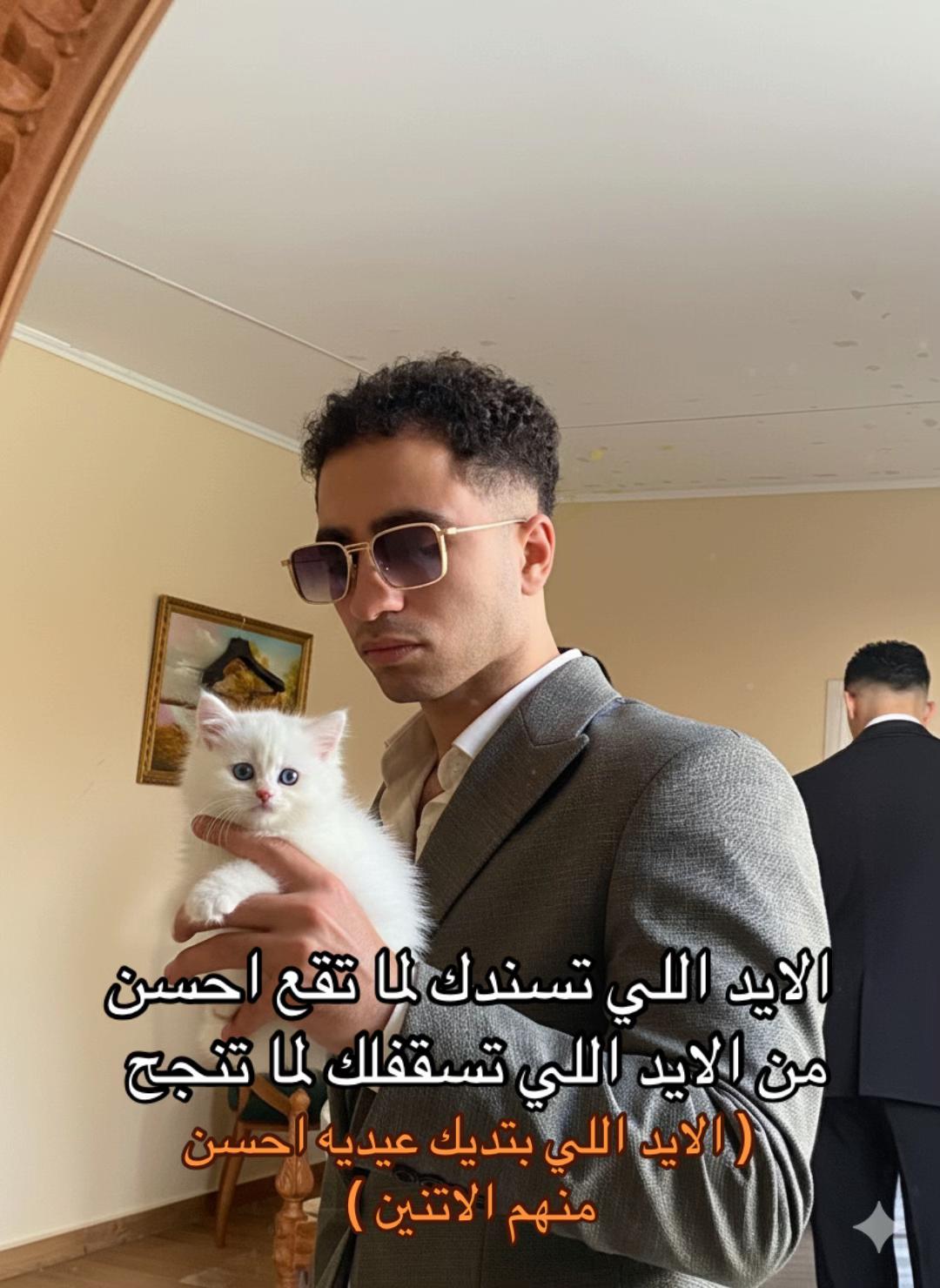 @mushahmedadel