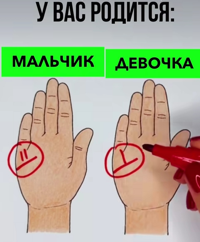 @murat Kulumowic
