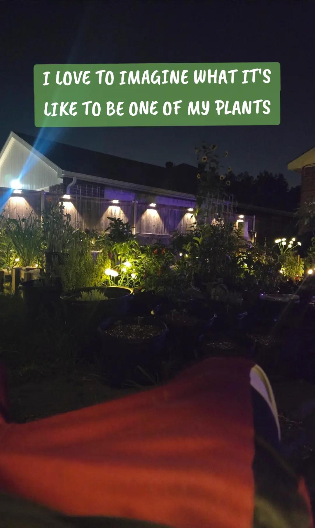 @RareOrion