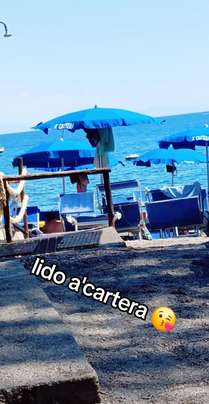 @Teresa Fraschetti