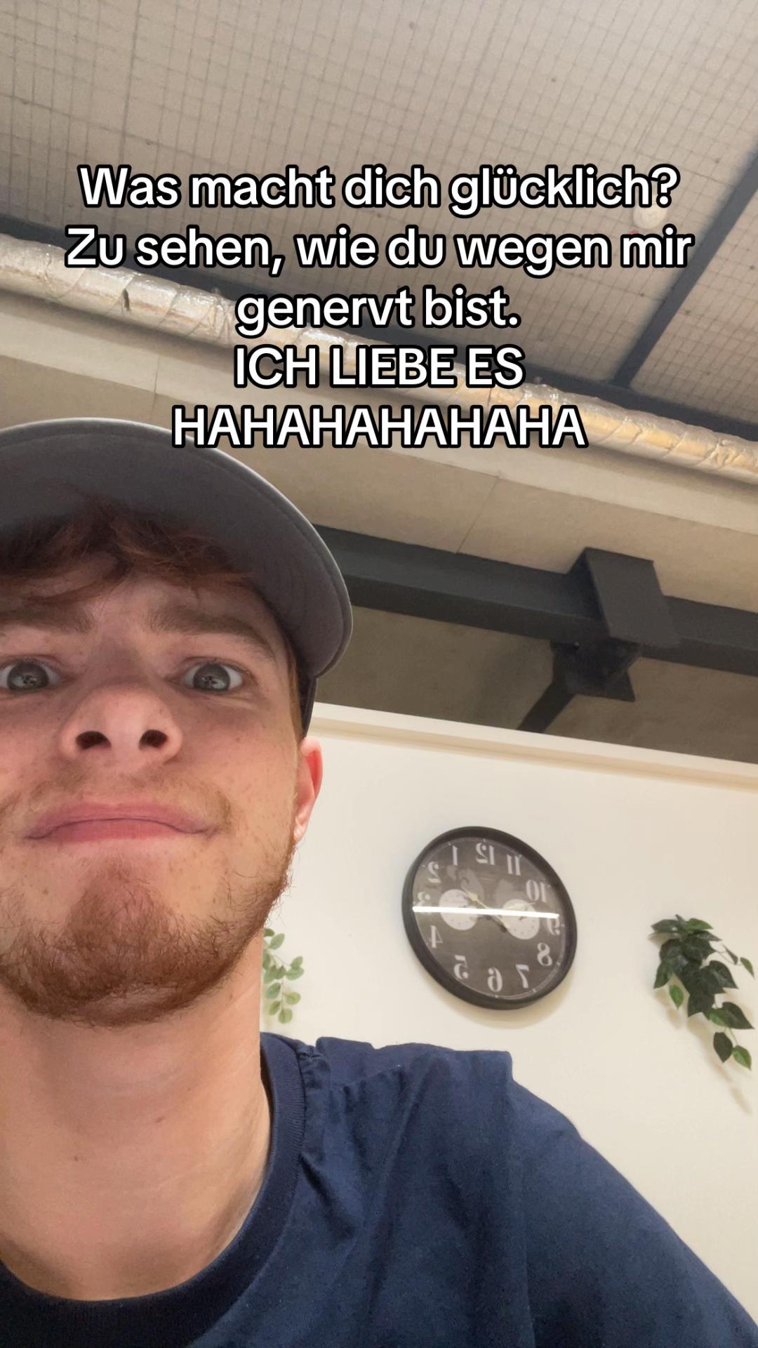 @dimi_Ginger