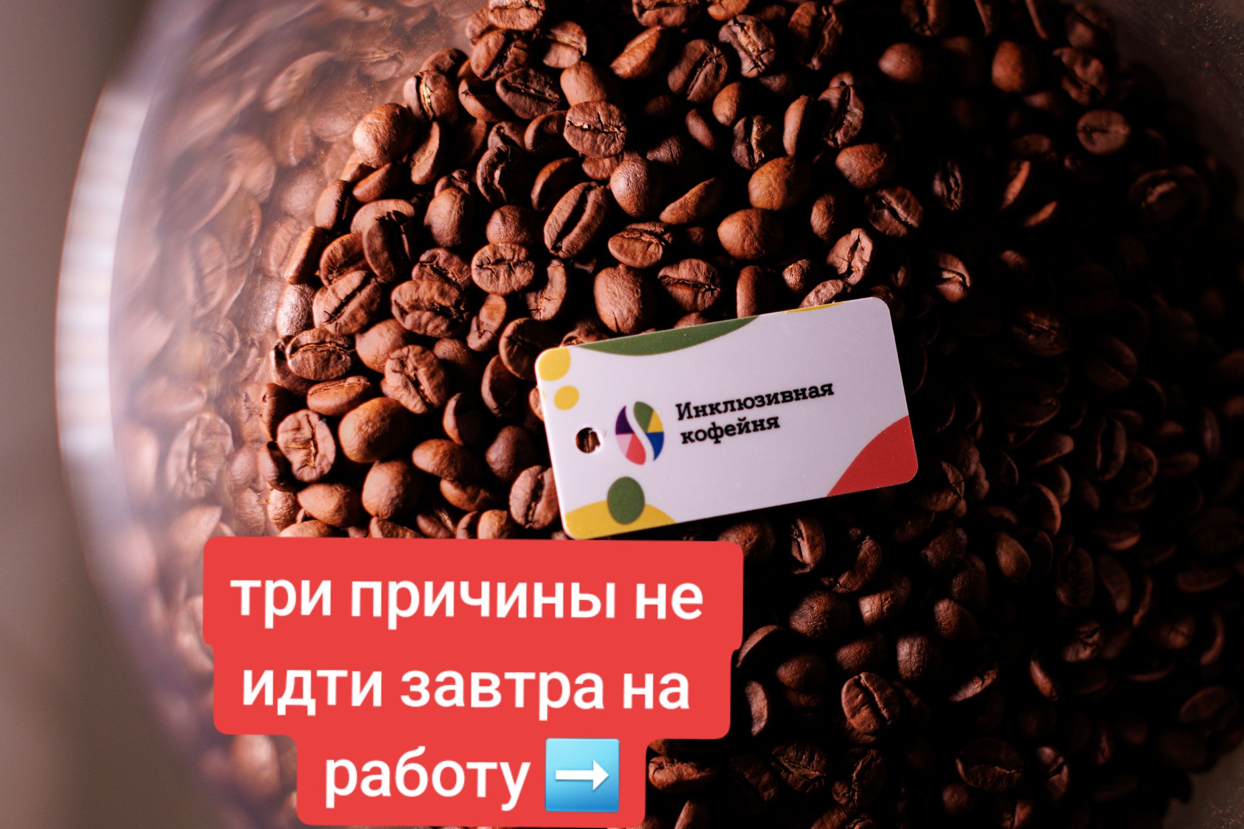 @Димка
