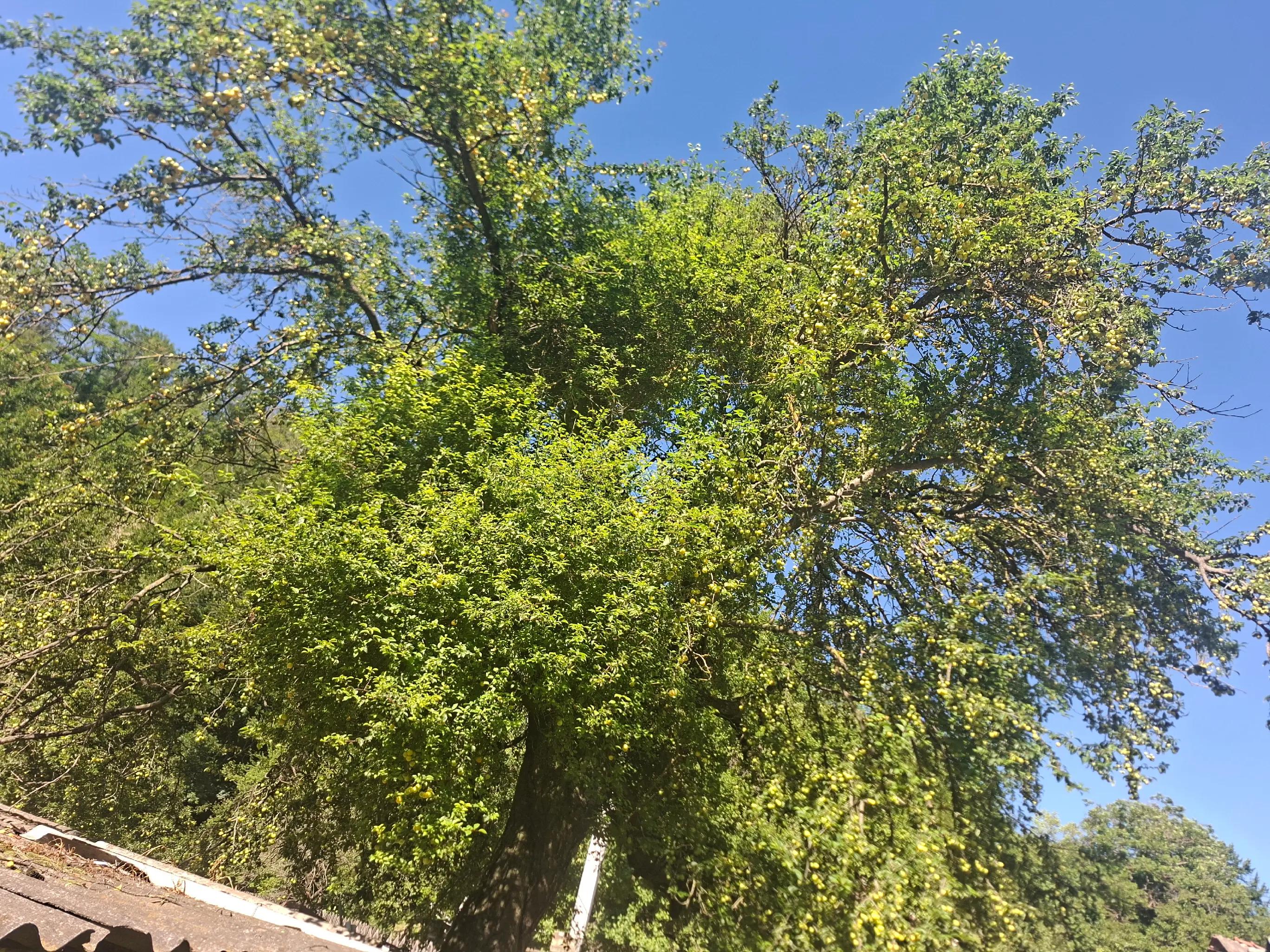 @Nevasta lui Botea Laurențiu