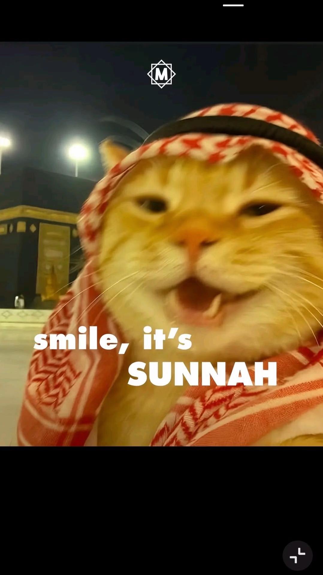 @محمد