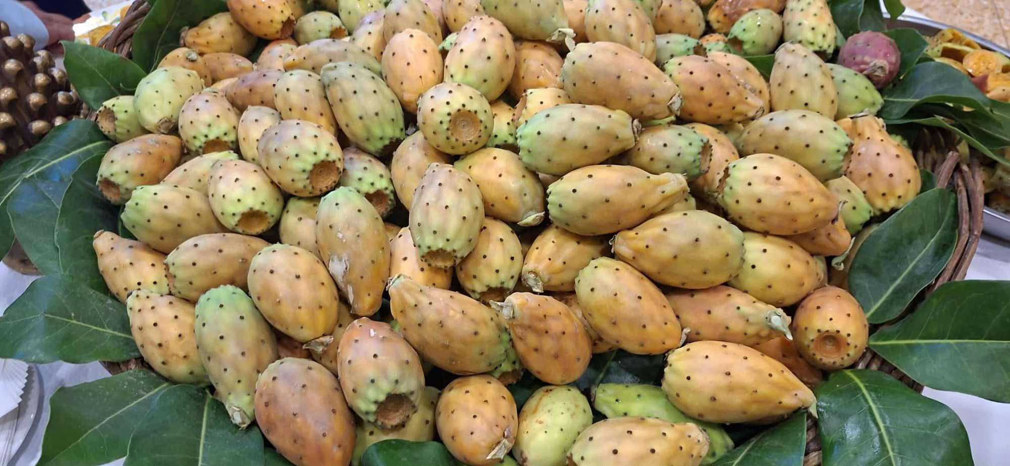 @Ciccio Pino