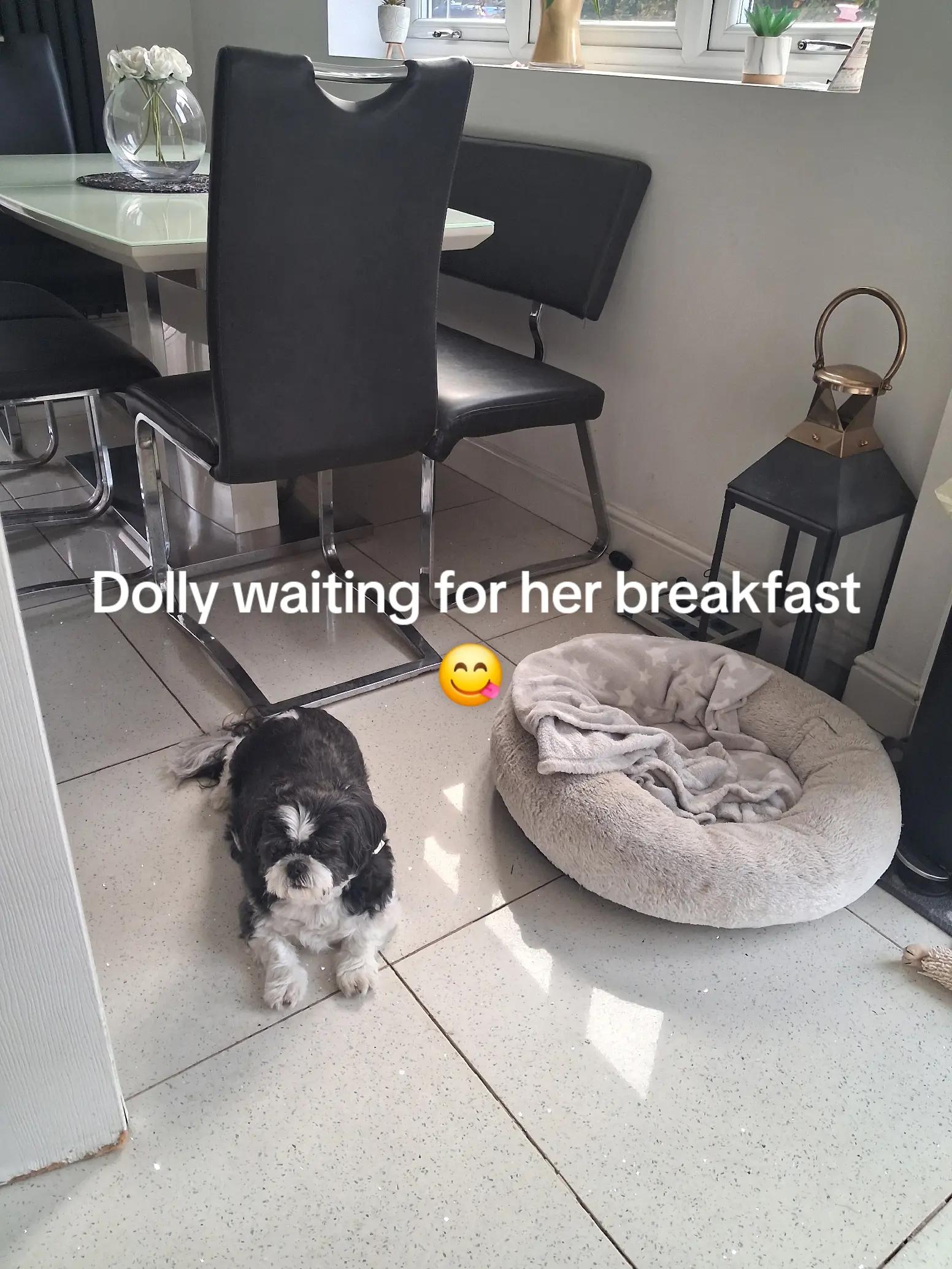 @Donna Frankie Boy & Dolly