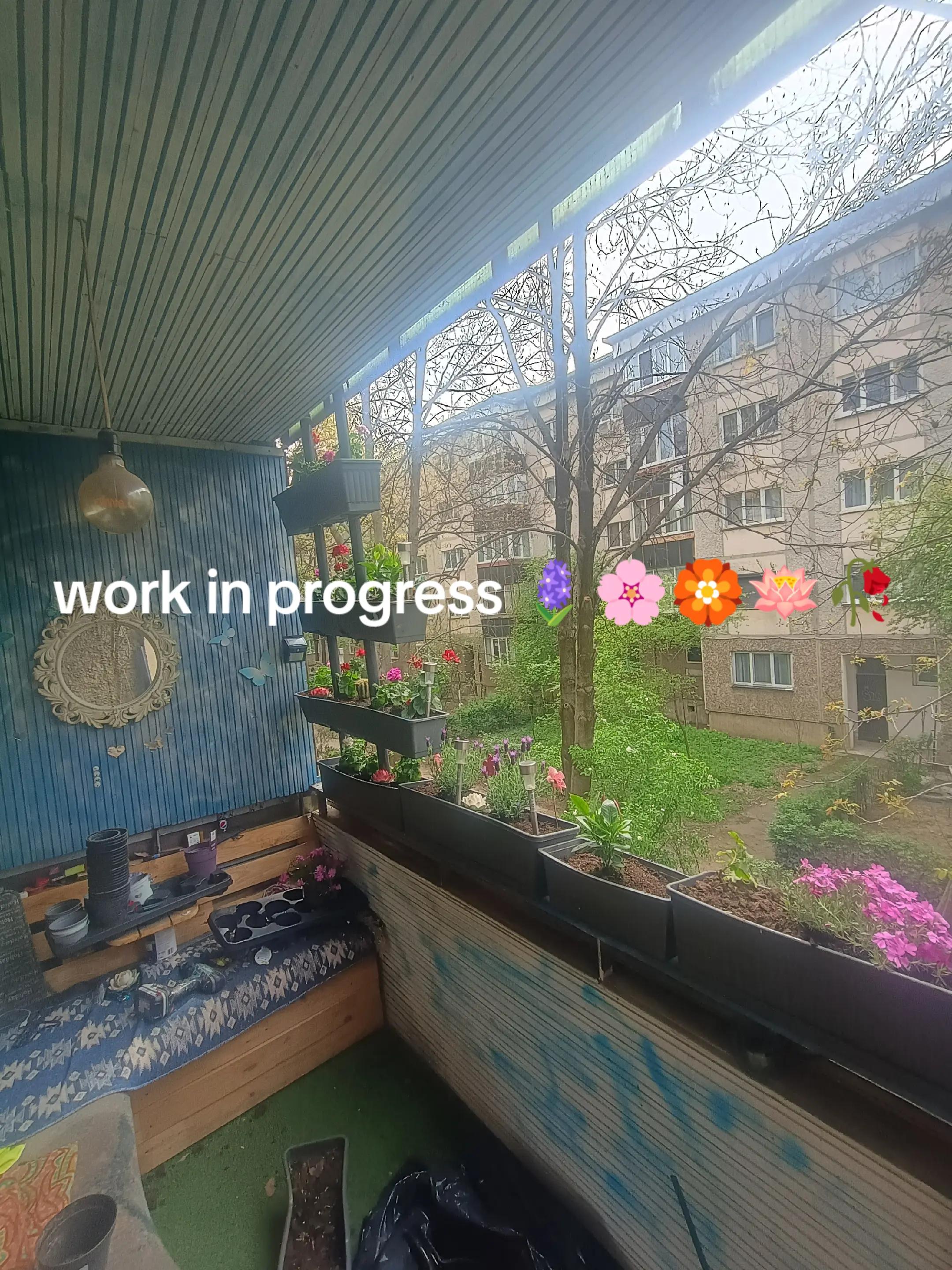 @Adișor