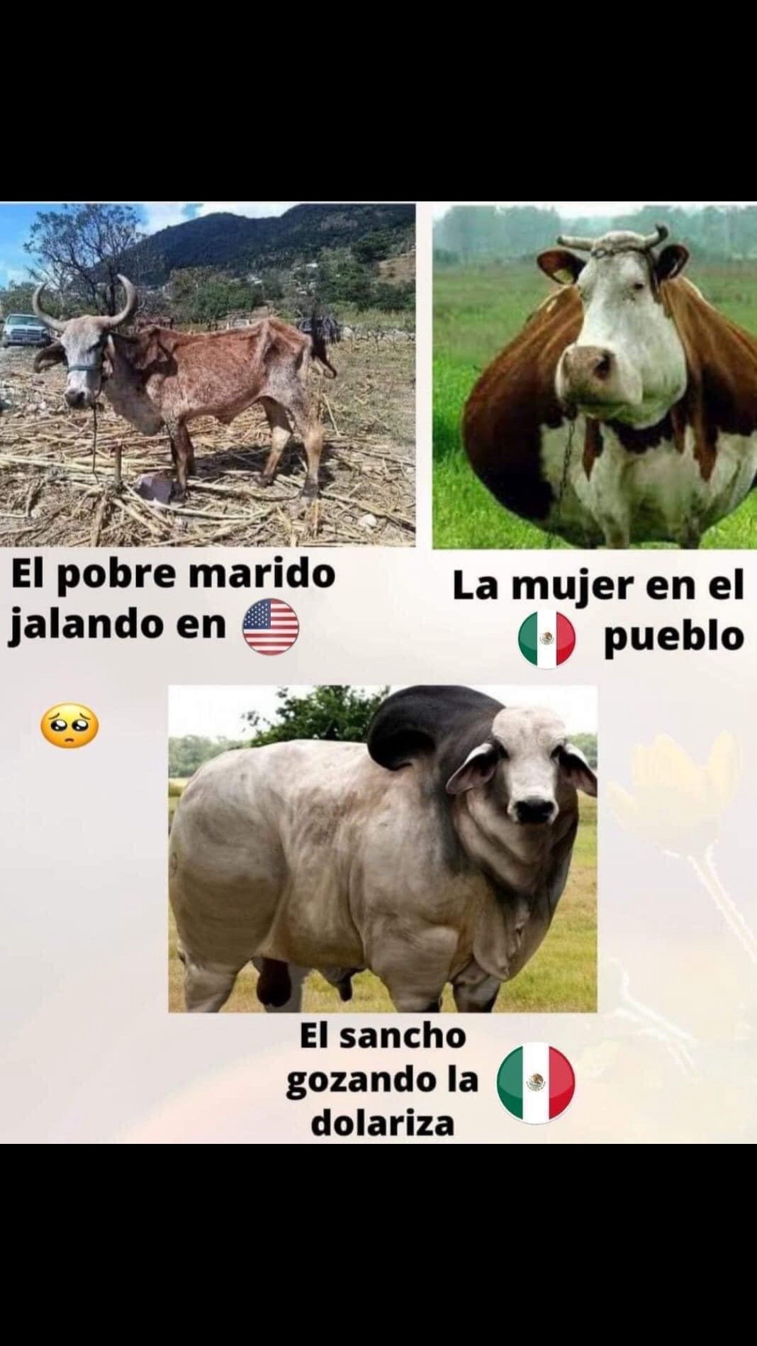 @Aracely de leon