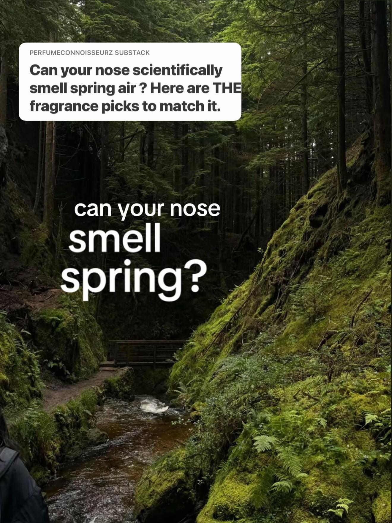 @PerfumeMaster