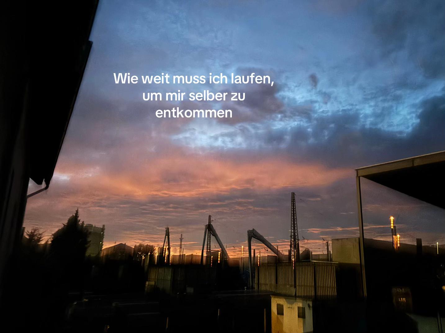 @🕊️