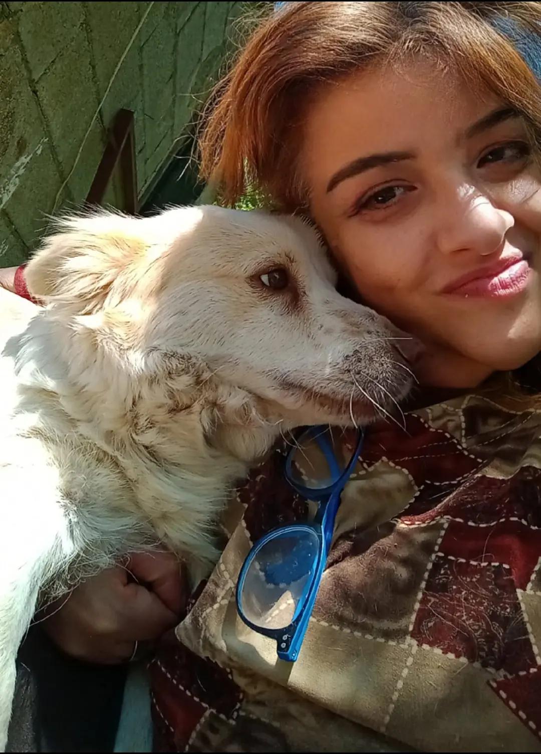 @Amo il lupo tutti gli animali