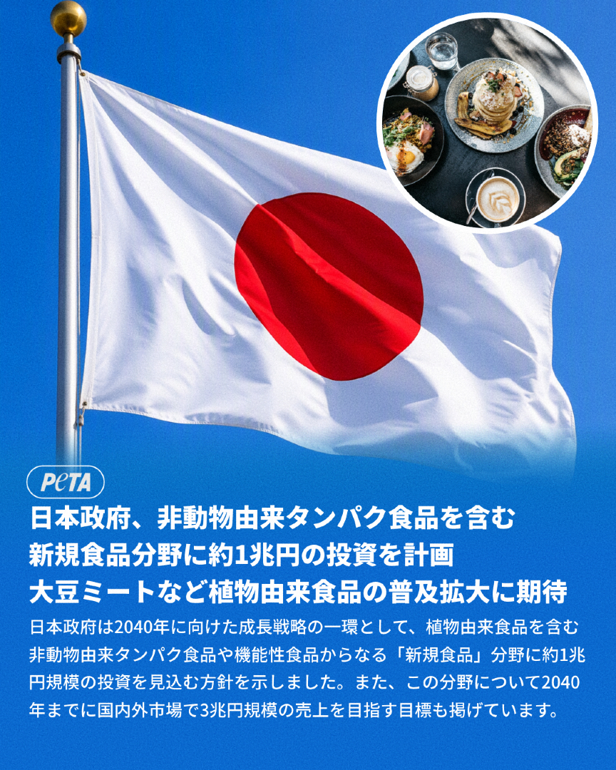 @PETAアジア 動物の倫理的扱いを求める人々の会 JAPAN