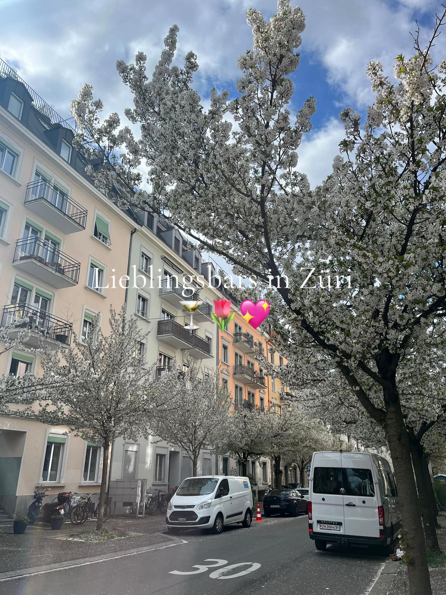 @VIVIENNE PARIS
